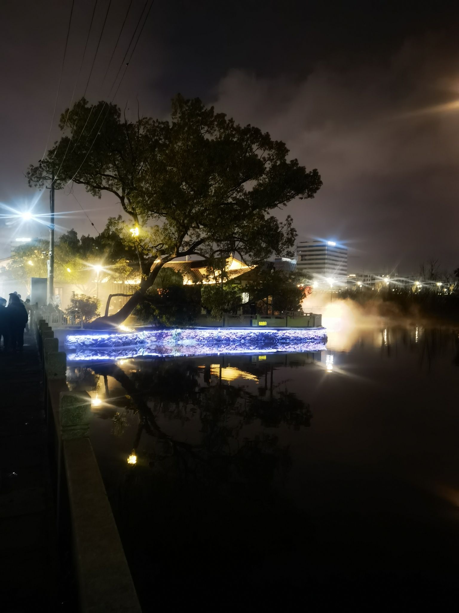 西岑湿地公园旅行图片 3