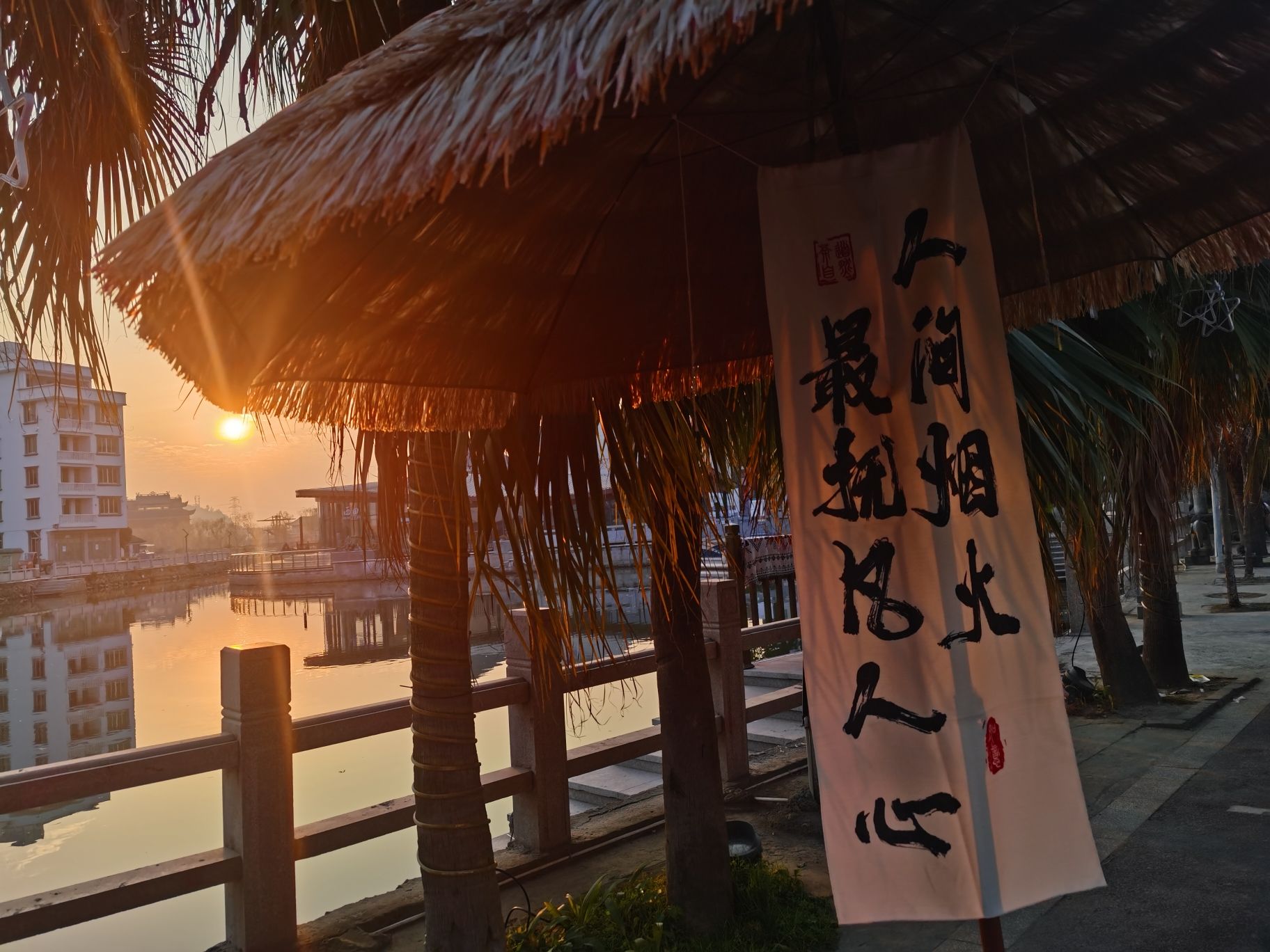 西岑湿地公园旅行图片 3