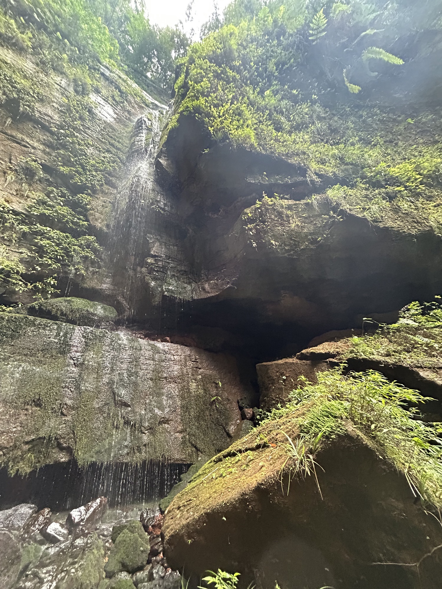 桫椤谷旅行图片 1