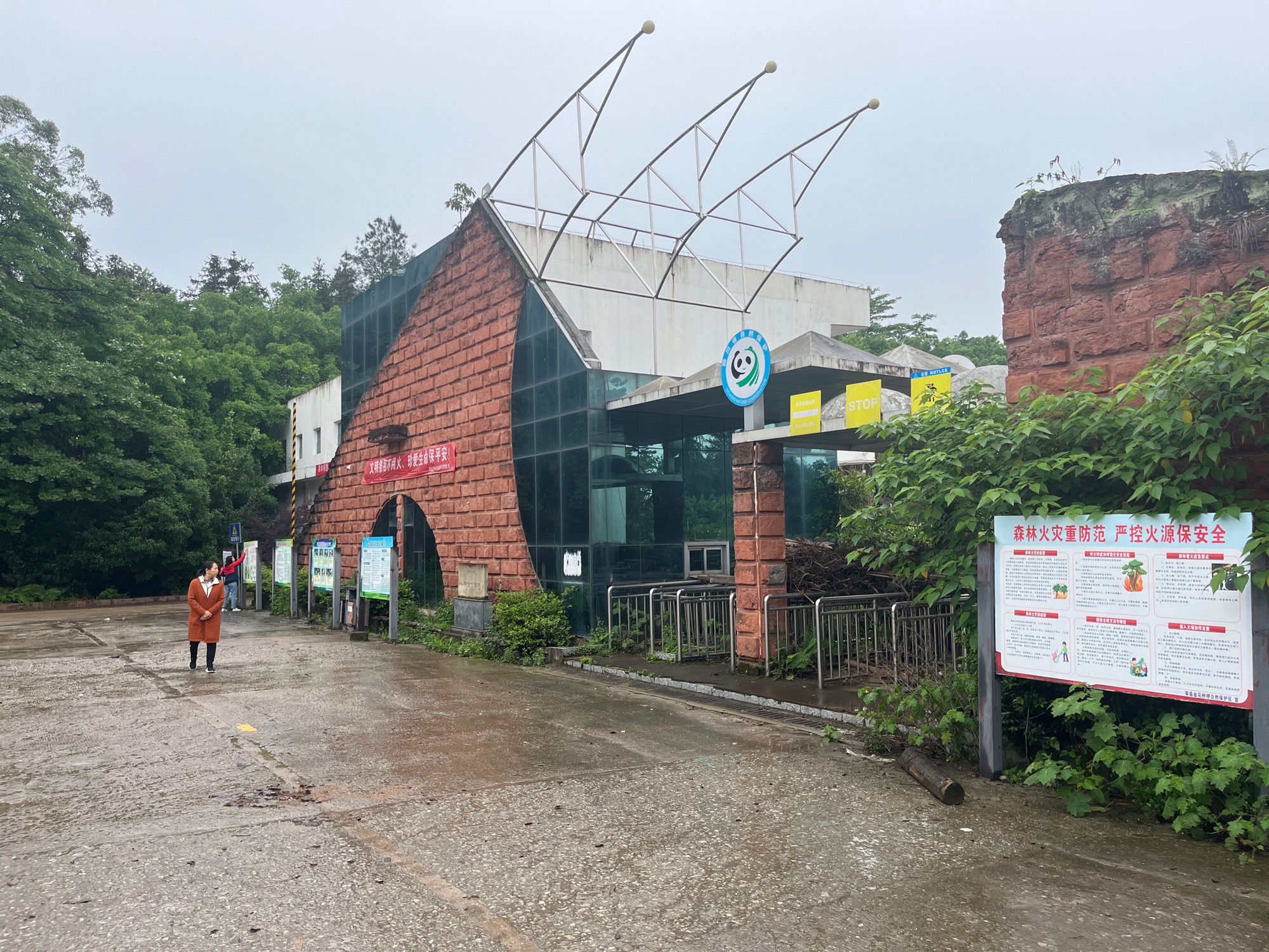 桫椤谷旅行图片 1
