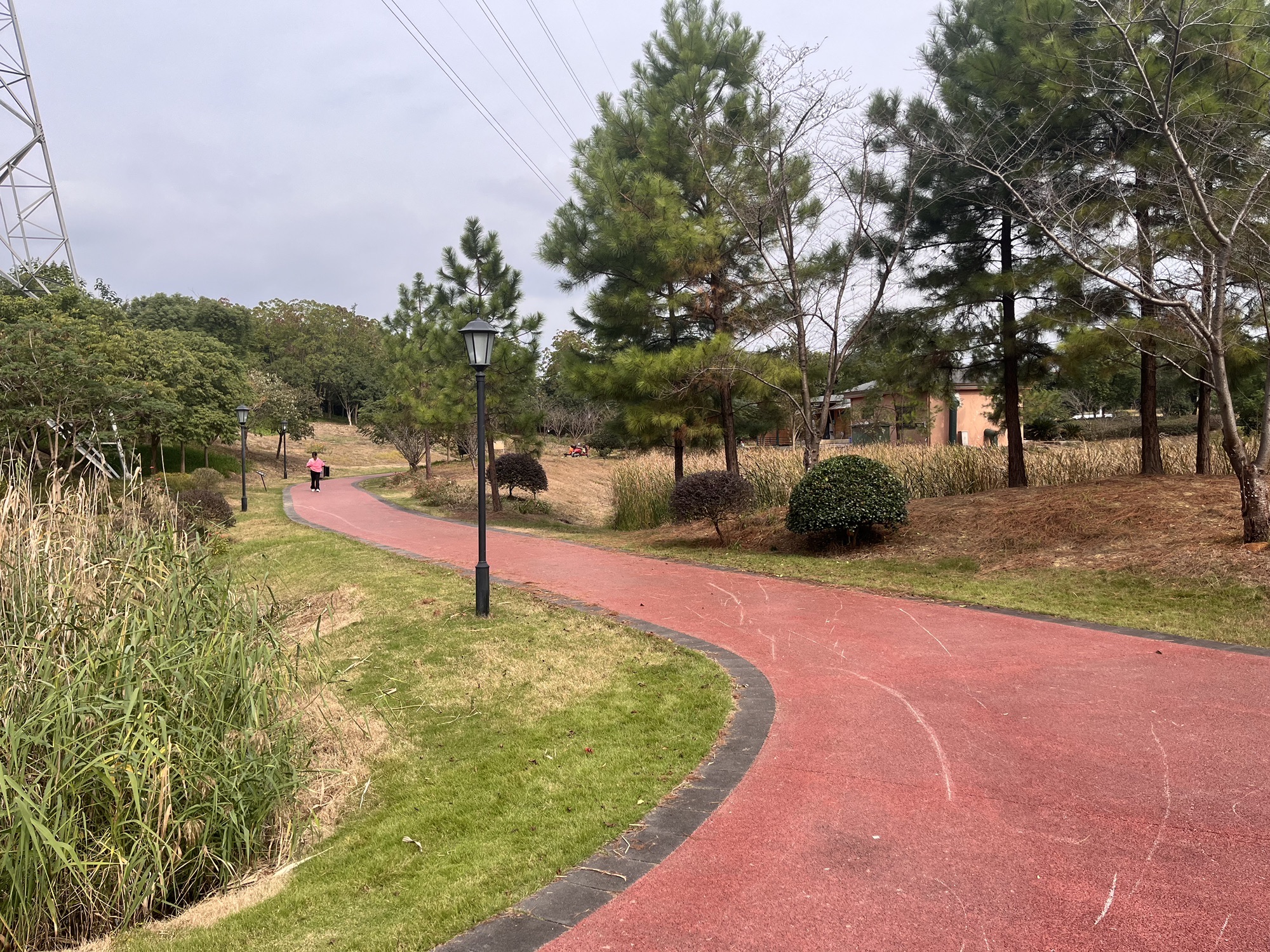 陶朱生态湿地公园旅行图片 1