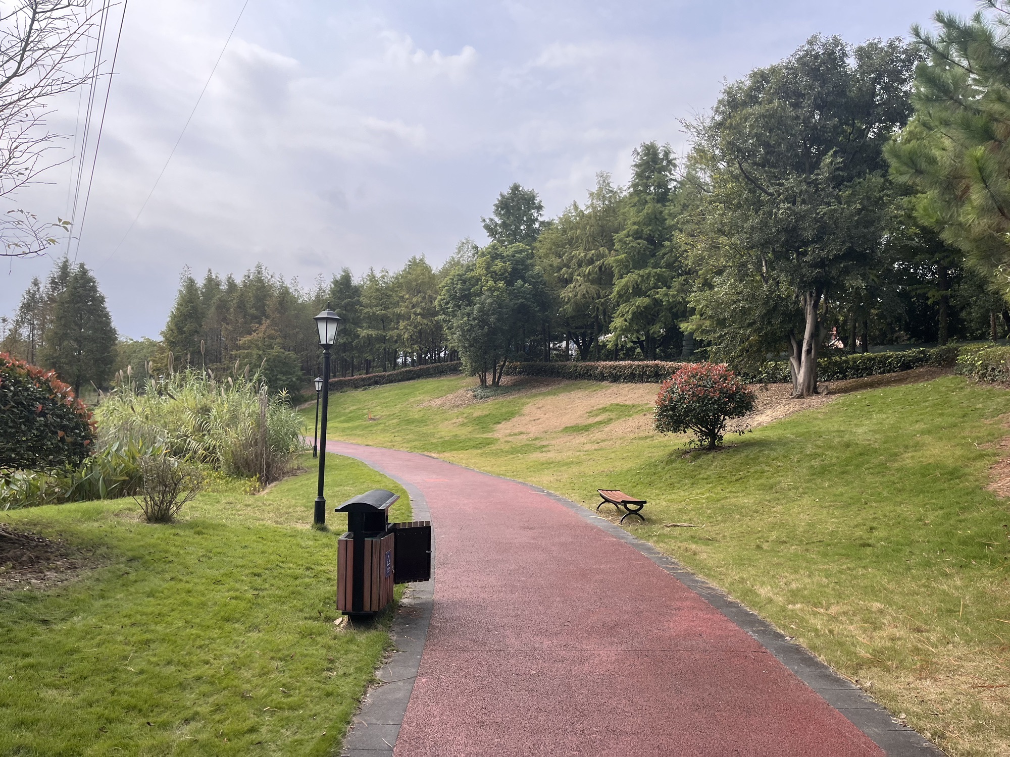 陶朱生态湿地公园旅行图片 3