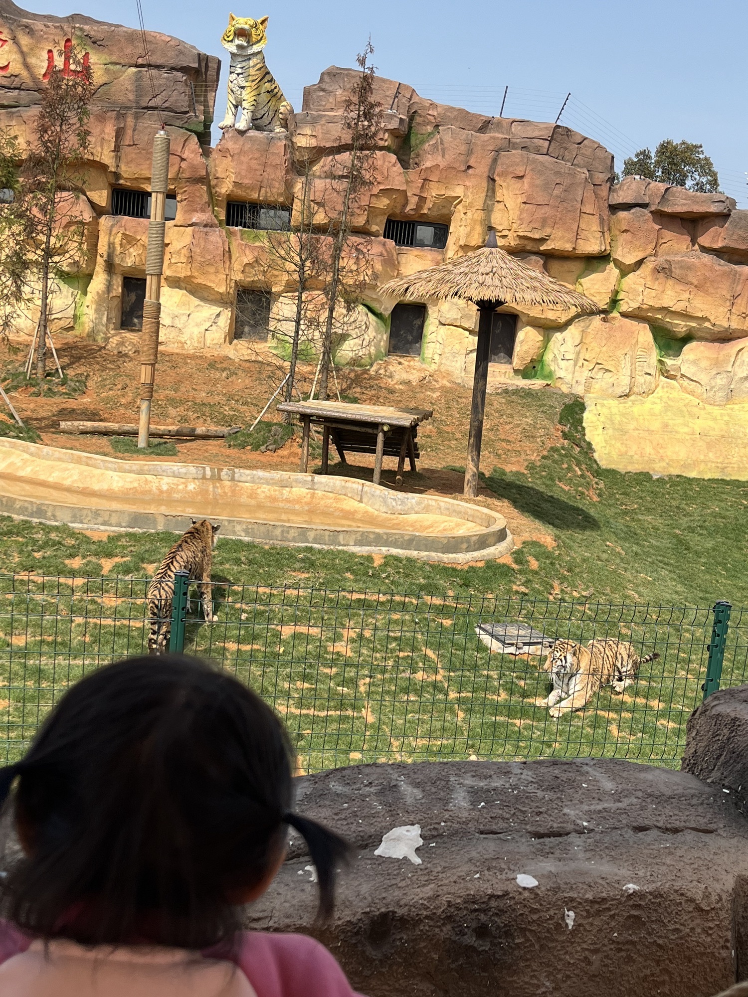 赣西野生动物王国旅行图片 2