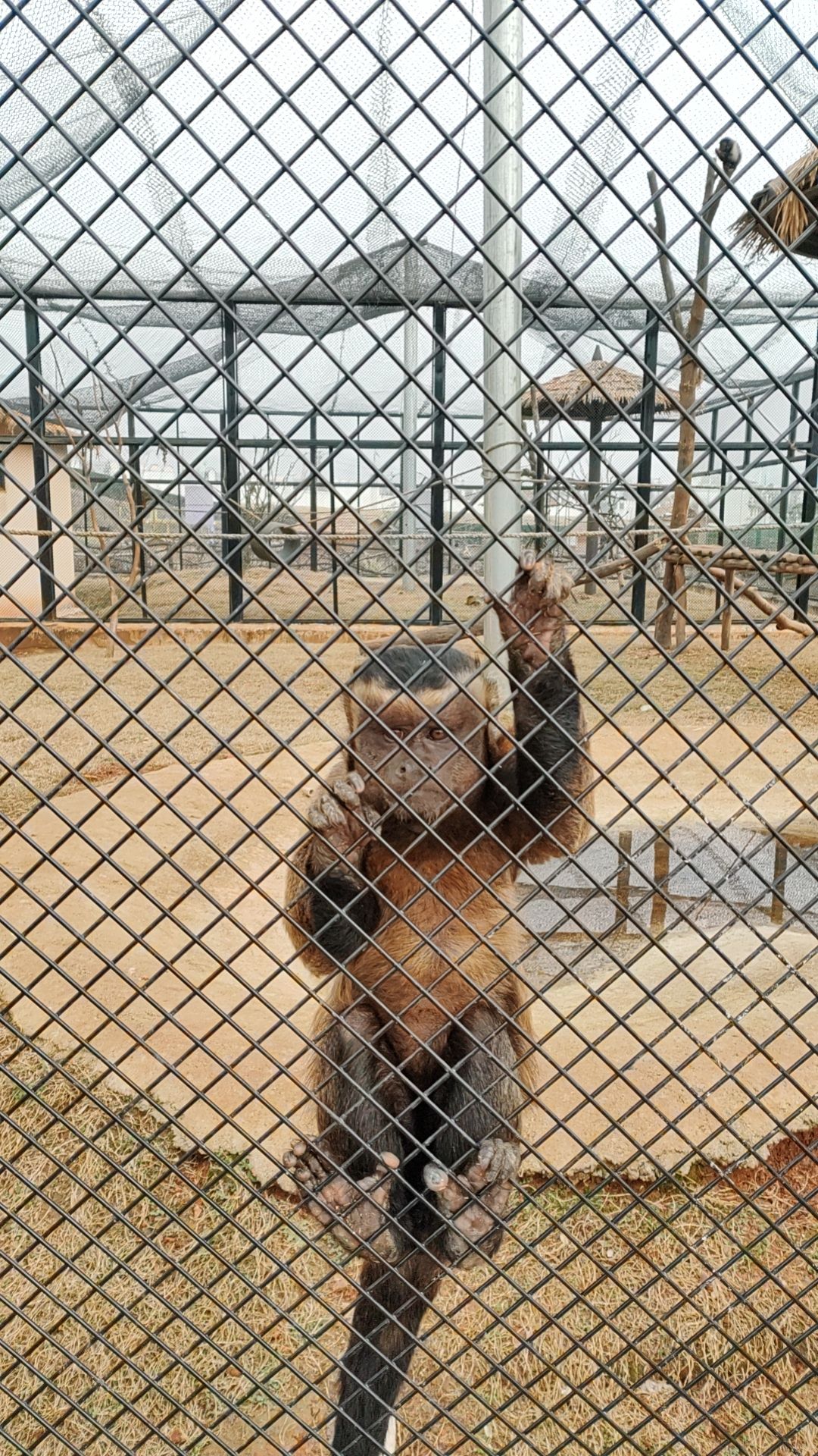 赣西野生动物王国旅行图片 2