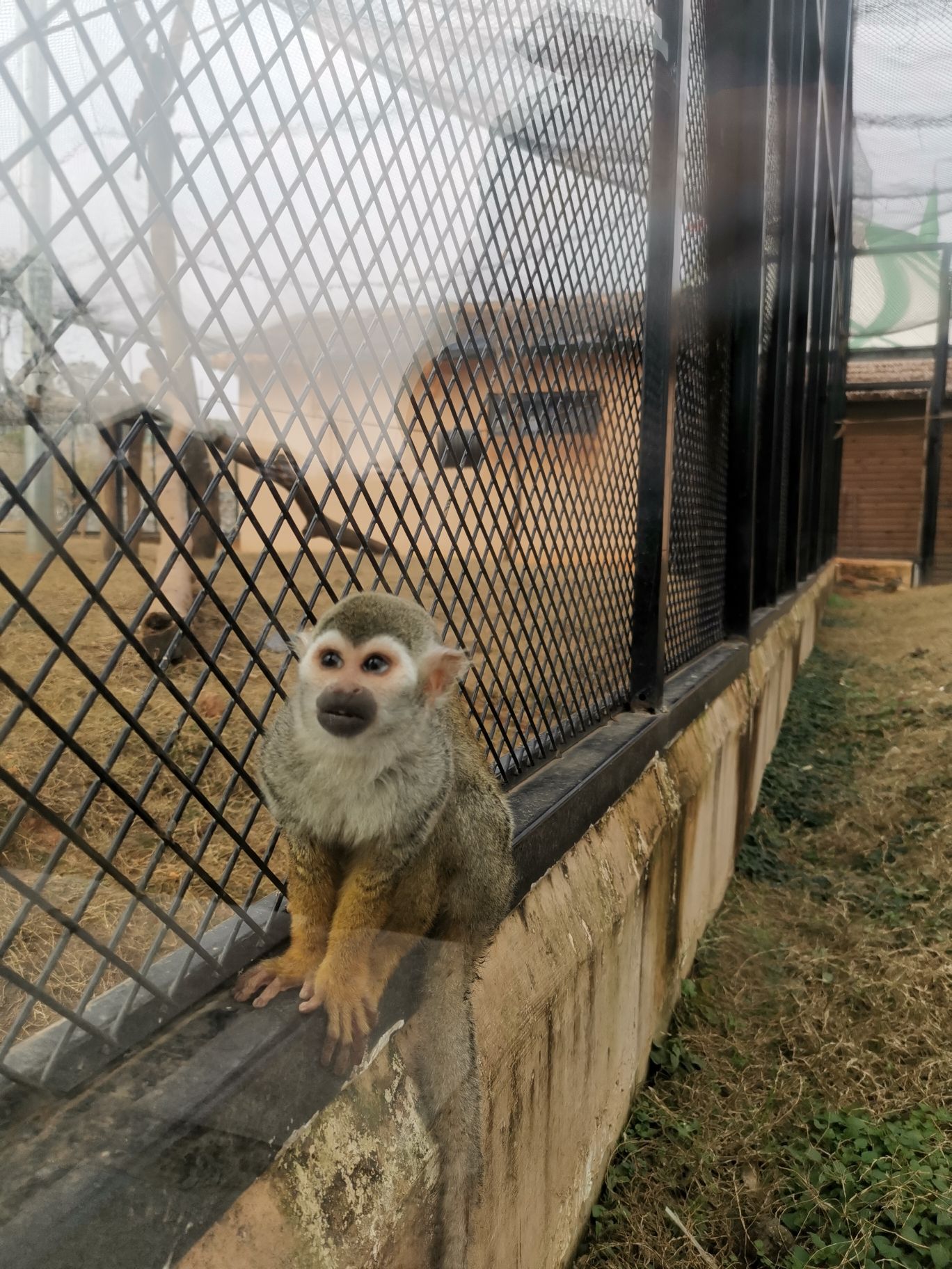 赣西野生动物王国旅行图片 3