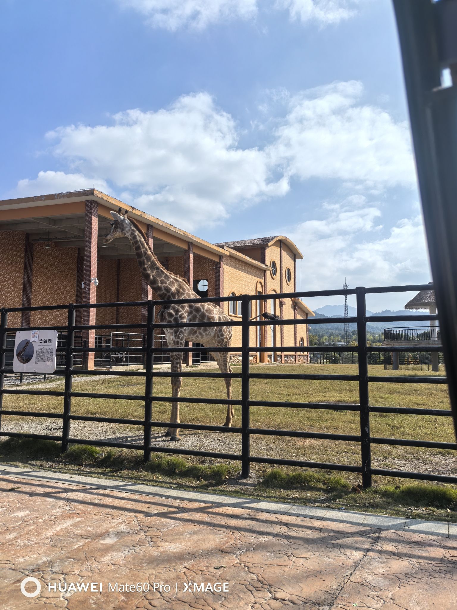 赣西野生动物王国旅行图片 3