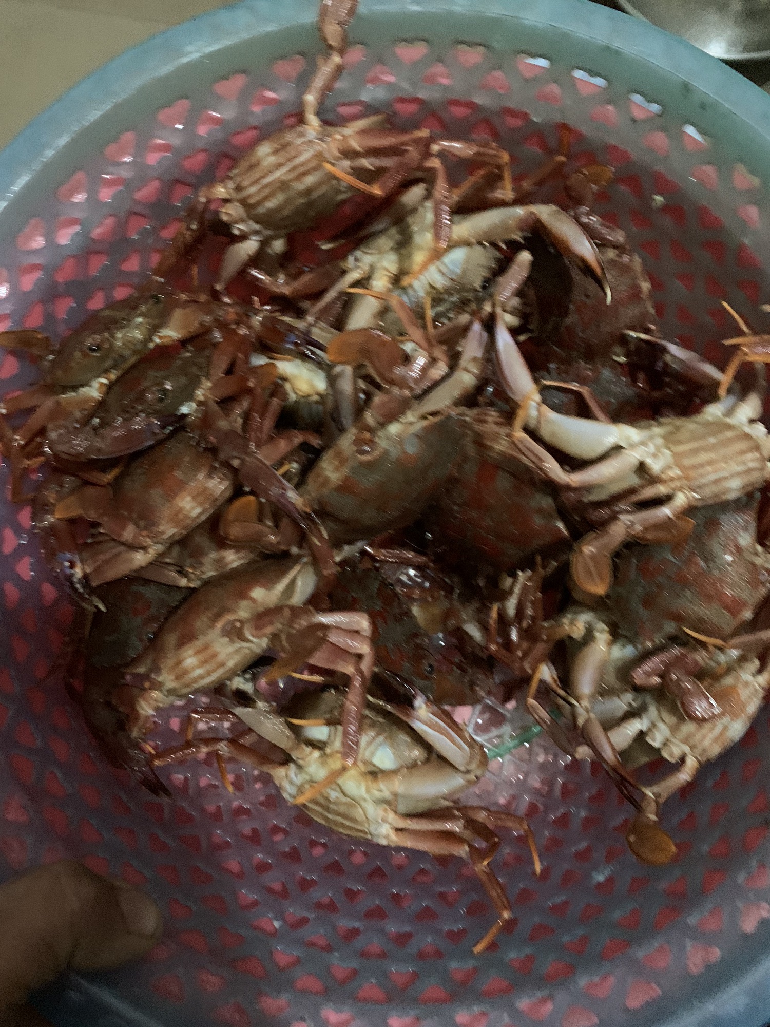 南澳岛渔民出海赶海打卡点旅行图片 2