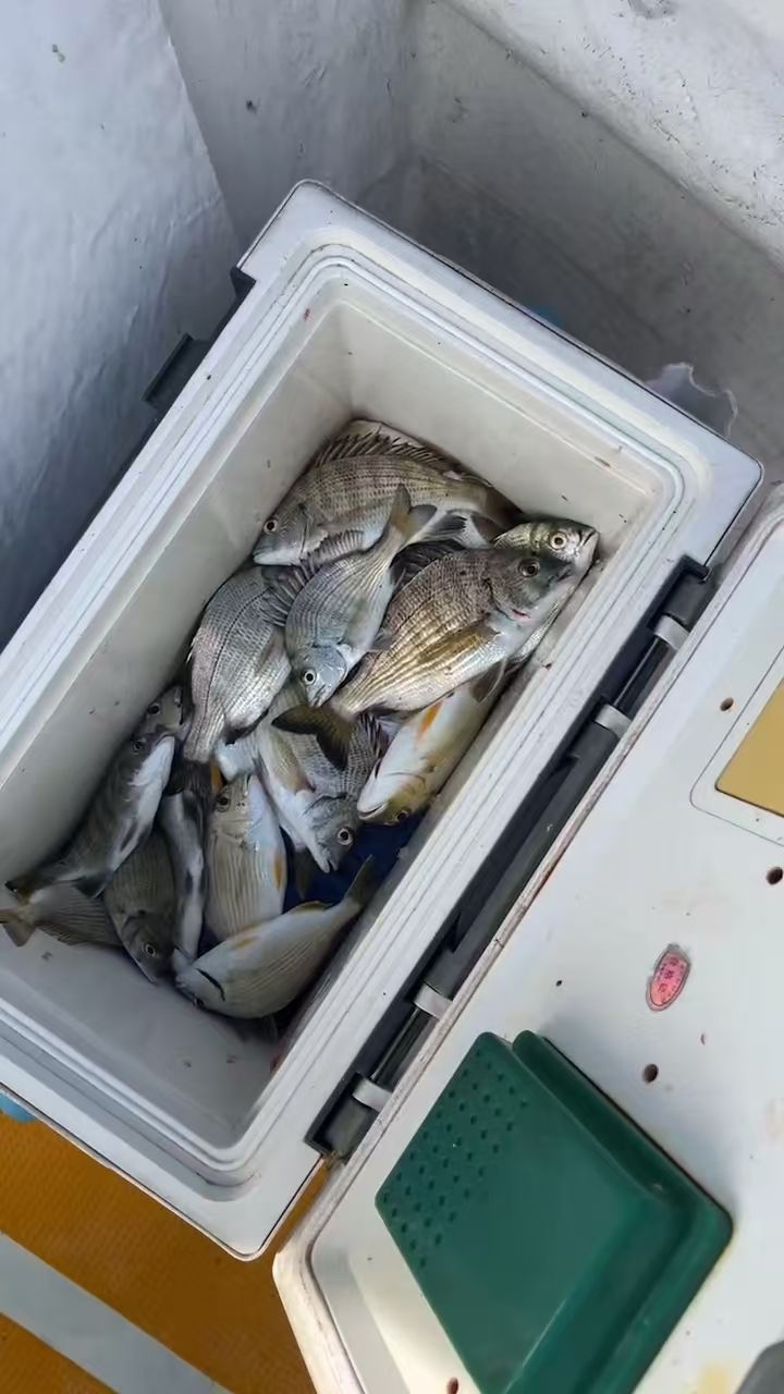 南澳岛渔民出海赶海打卡点旅行图片 1