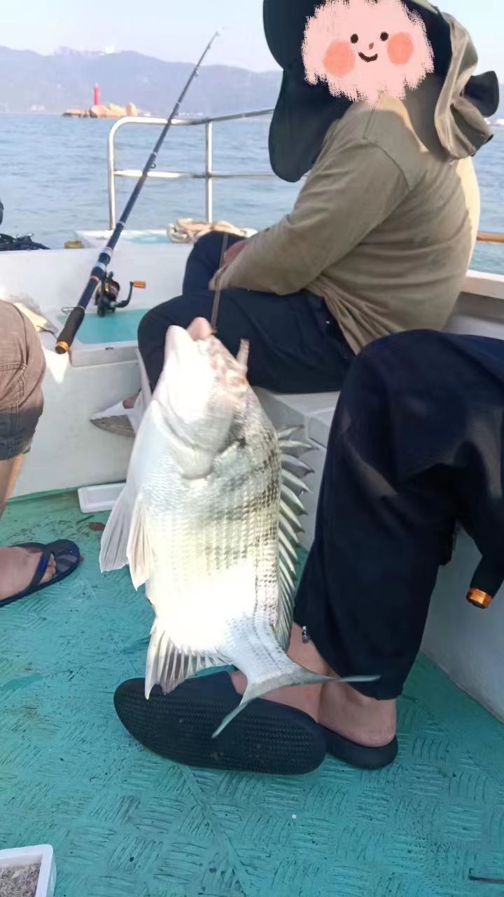 南澳岛渔民出海赶海打卡点旅行图片 3