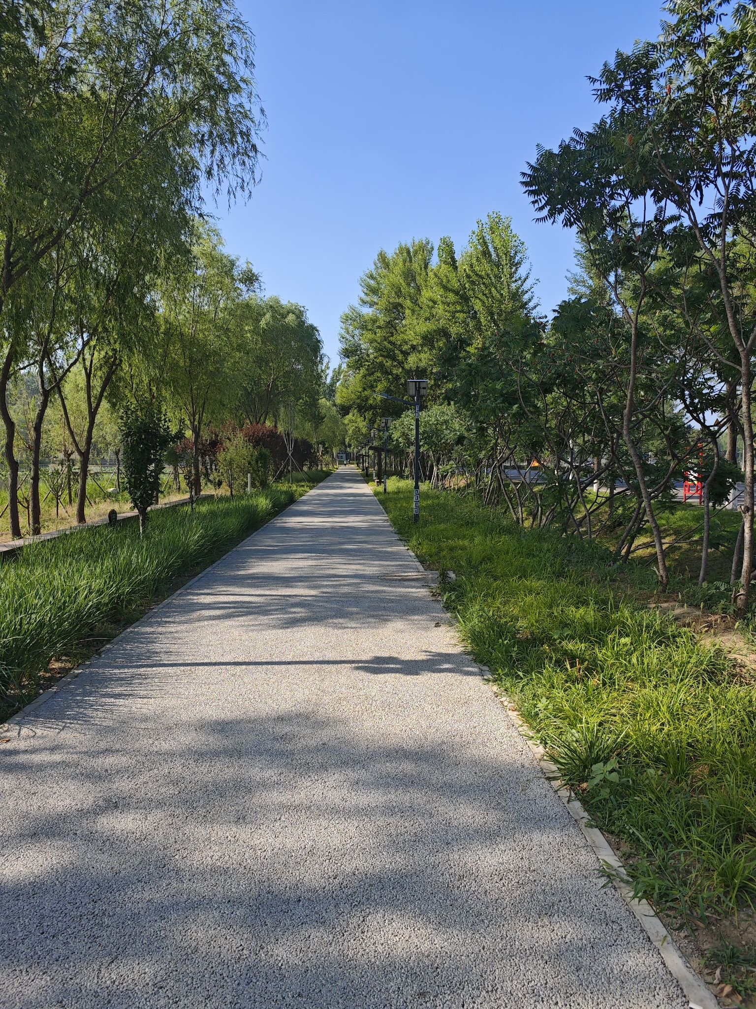 顺义人才公园旅行图片 3