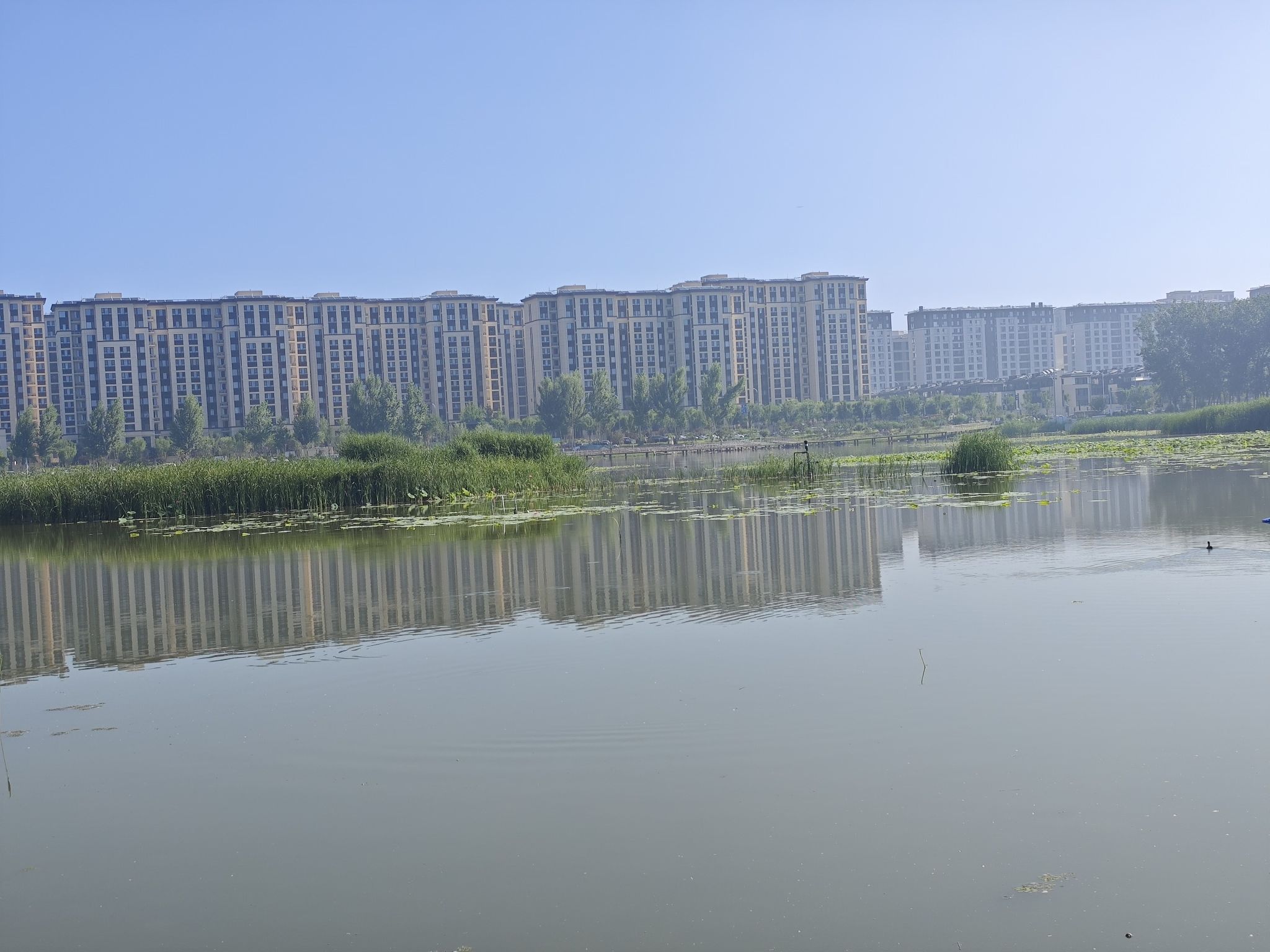 顺义人才公园旅行图片 2