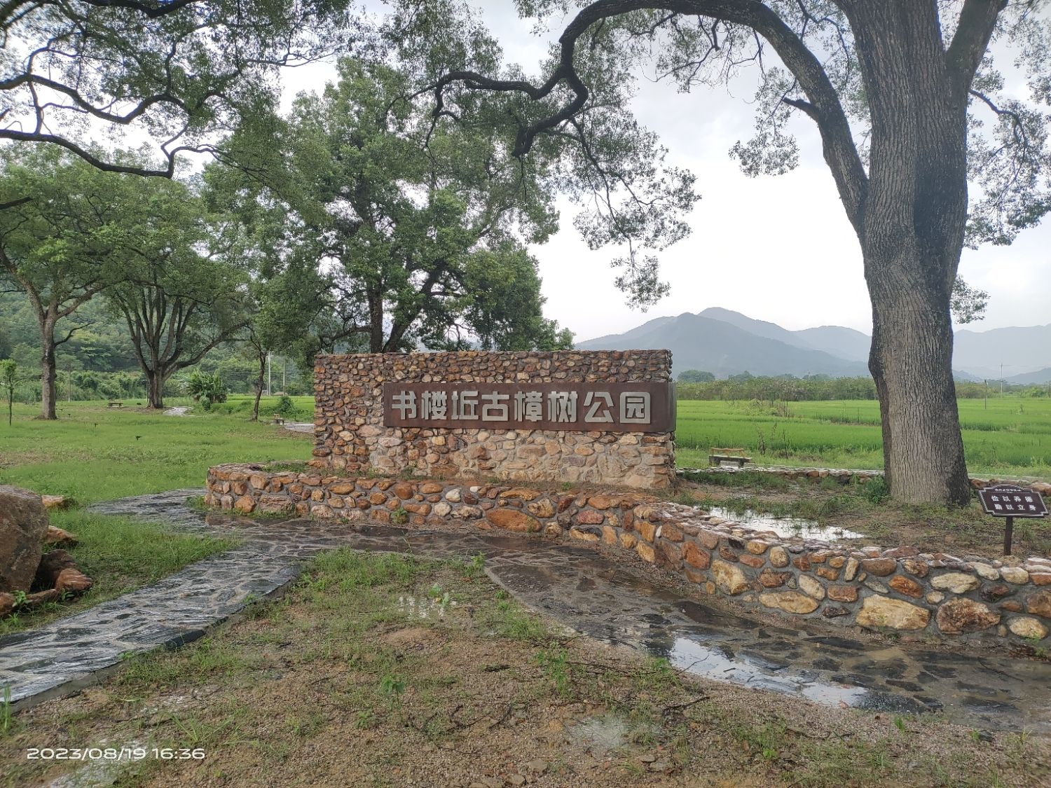 仁化县长江镇书楼坵古樟树公园旅行图片 1
