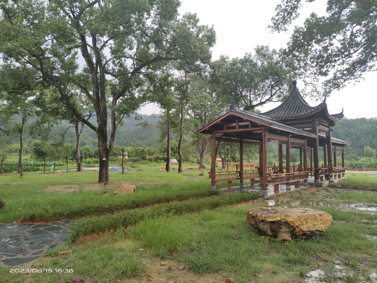 仁化县长江镇书楼坵古樟树公园旅行图片 2