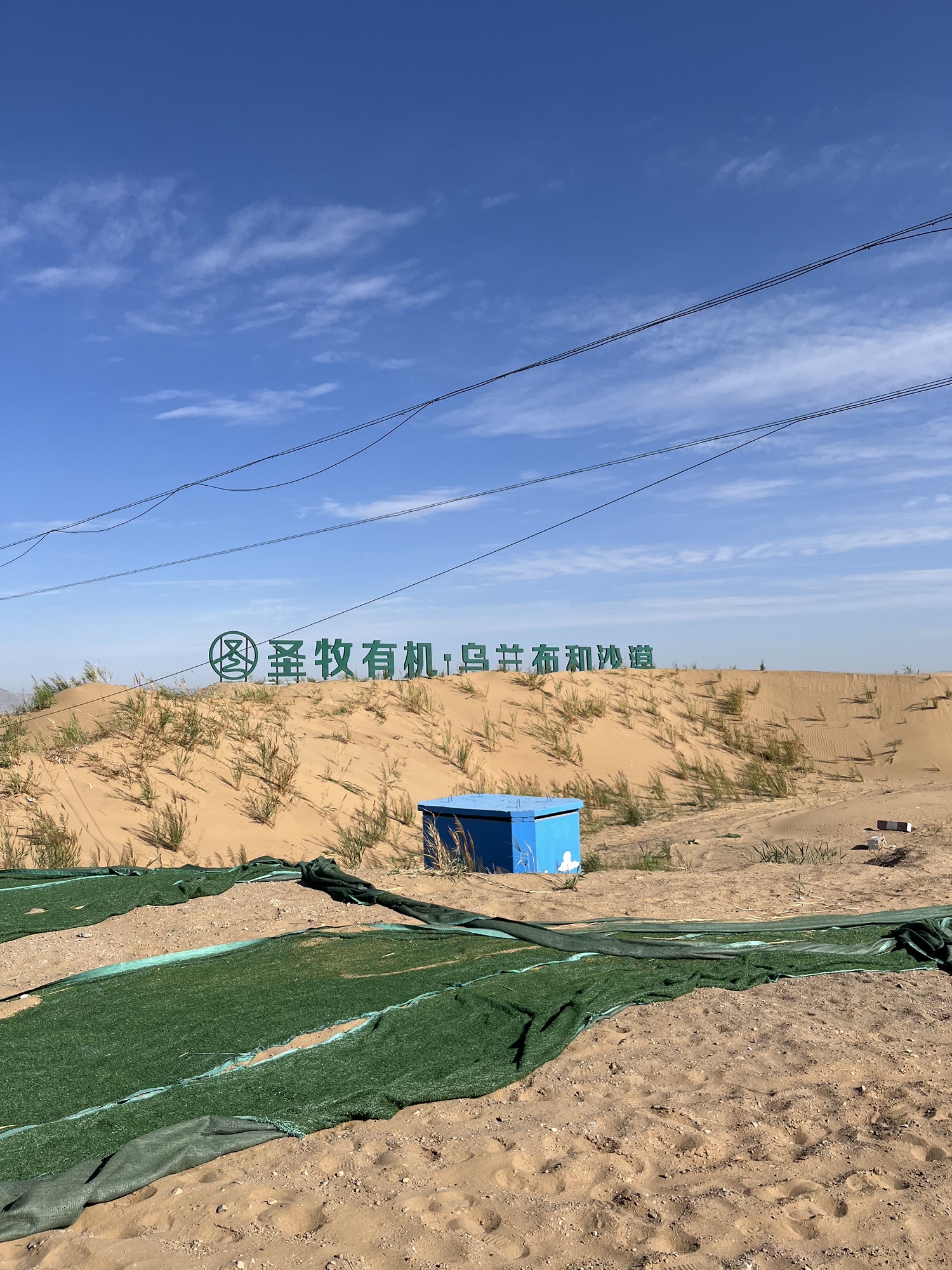 圣牧有机·乌兰布和沙漠