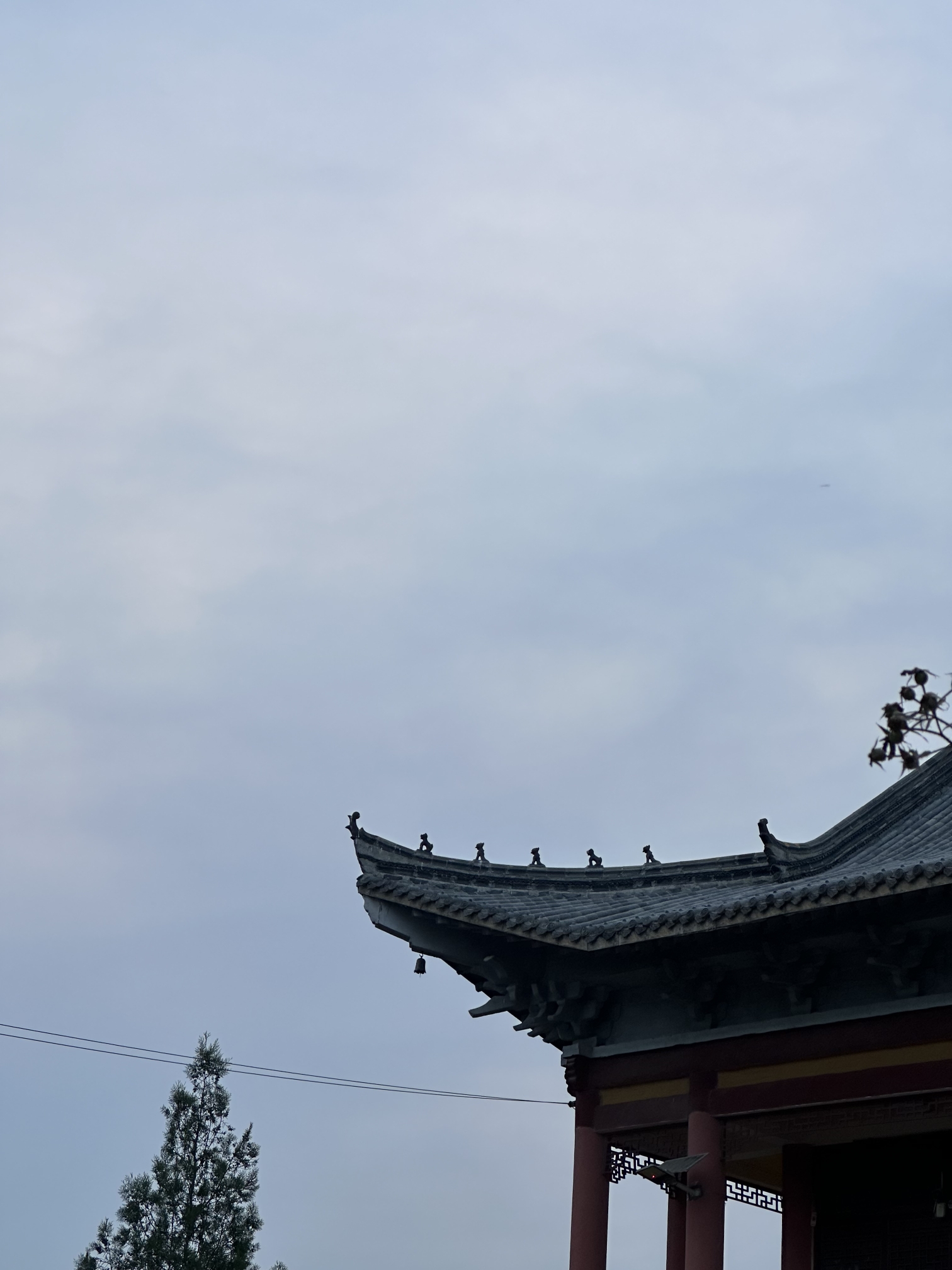 夏王寺旅行图片 1