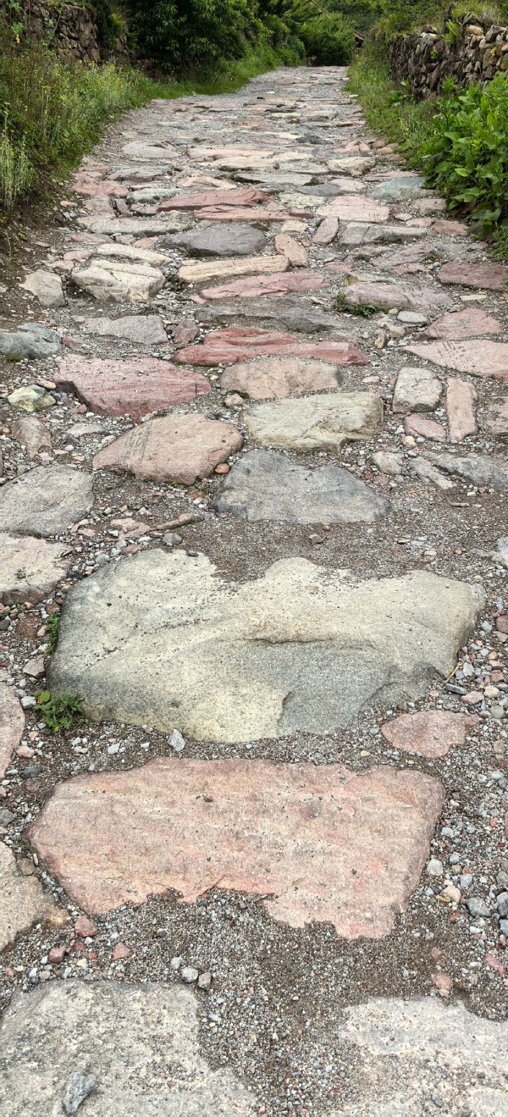 茶马古道羊圈门段旅行图片 1