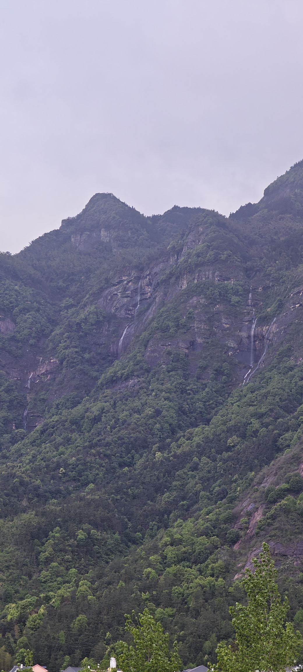万杉寺观景台旅行图片 1