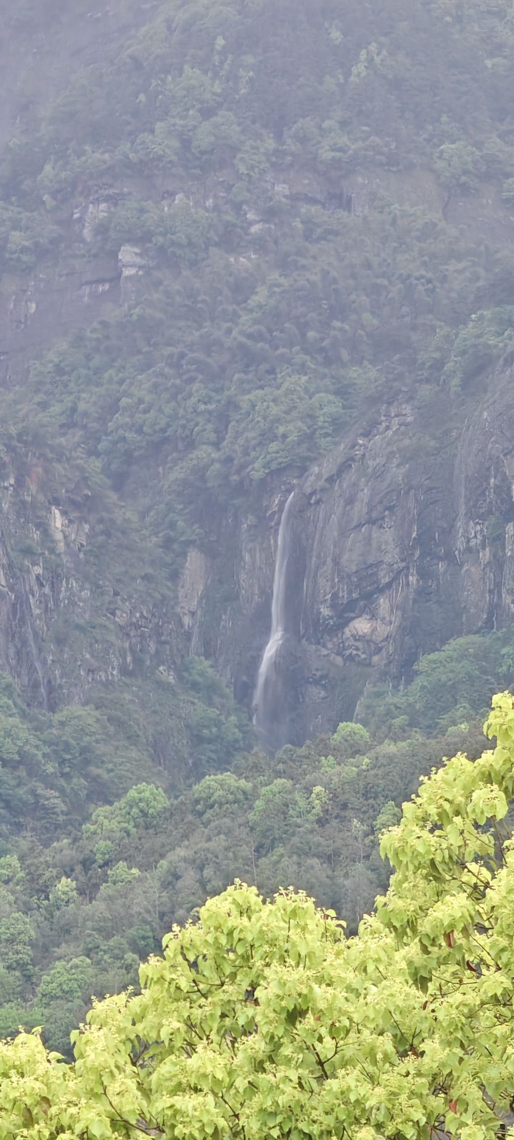万杉寺观景台旅行图片 2