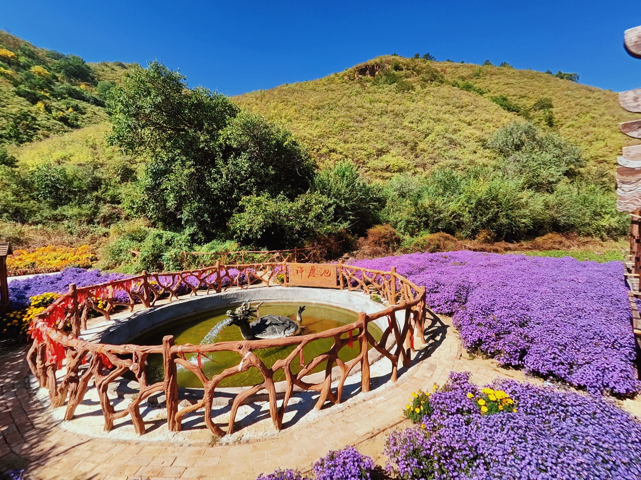 喀左芳草地景区