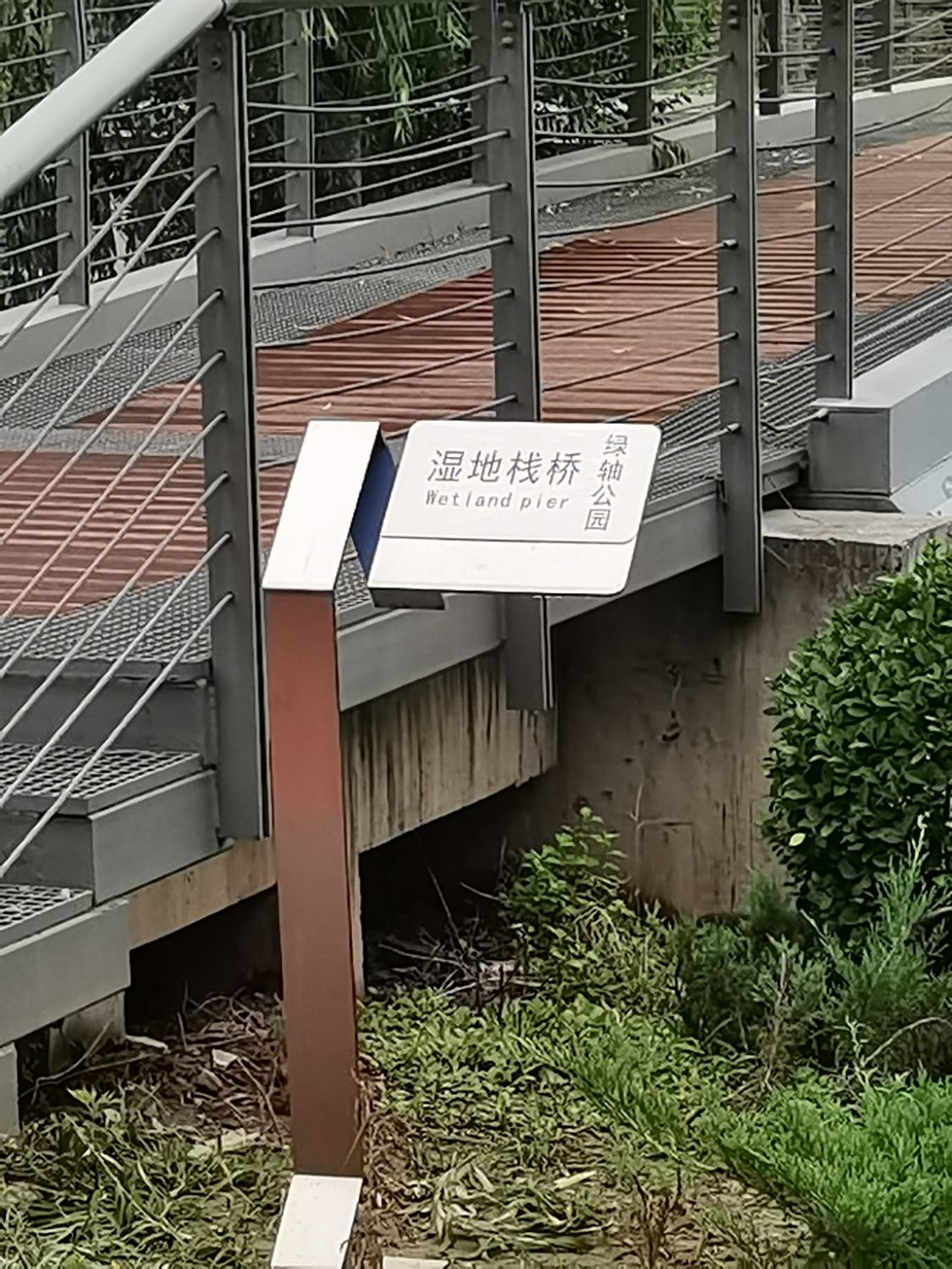 中央绿轴公园湿地栈桥旅行图片 1