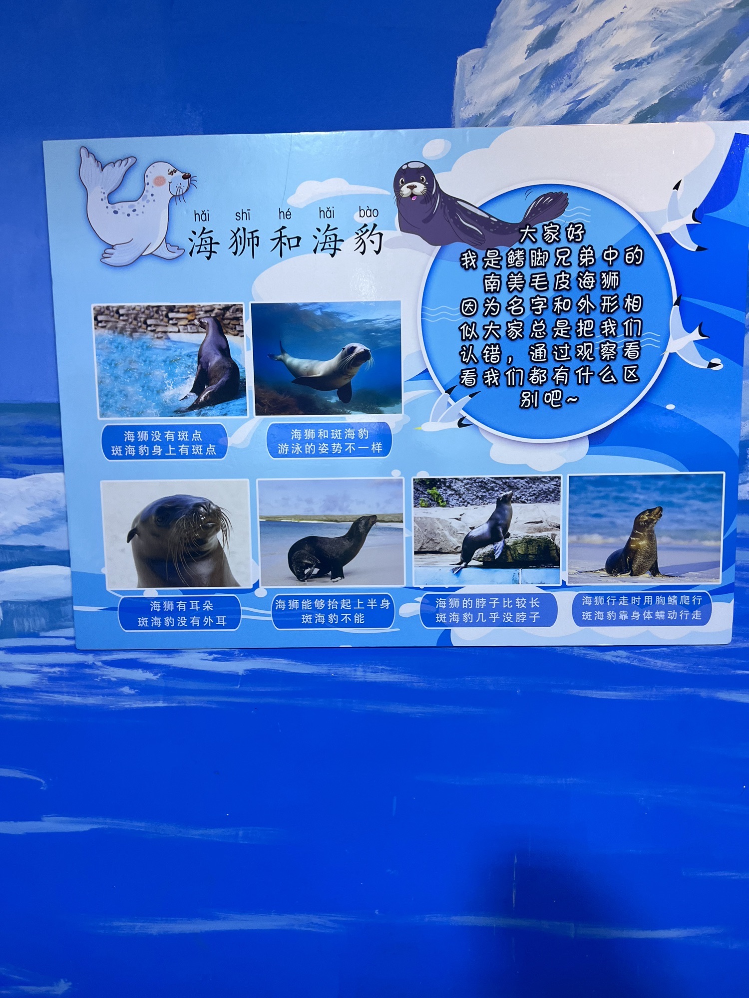 呼和浩特海洋馆旅行图片 2