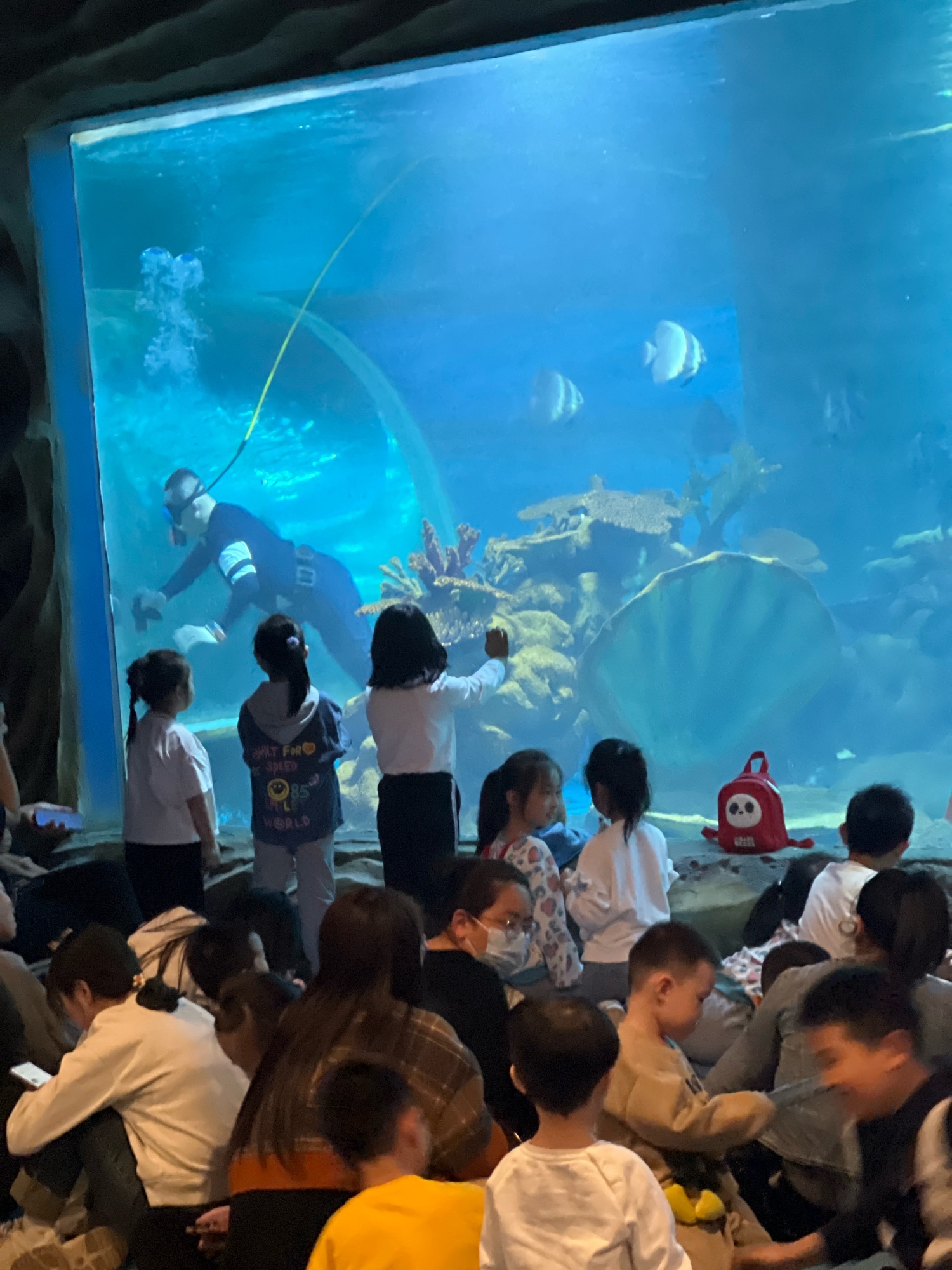 呼和浩特海洋馆旅行图片 1