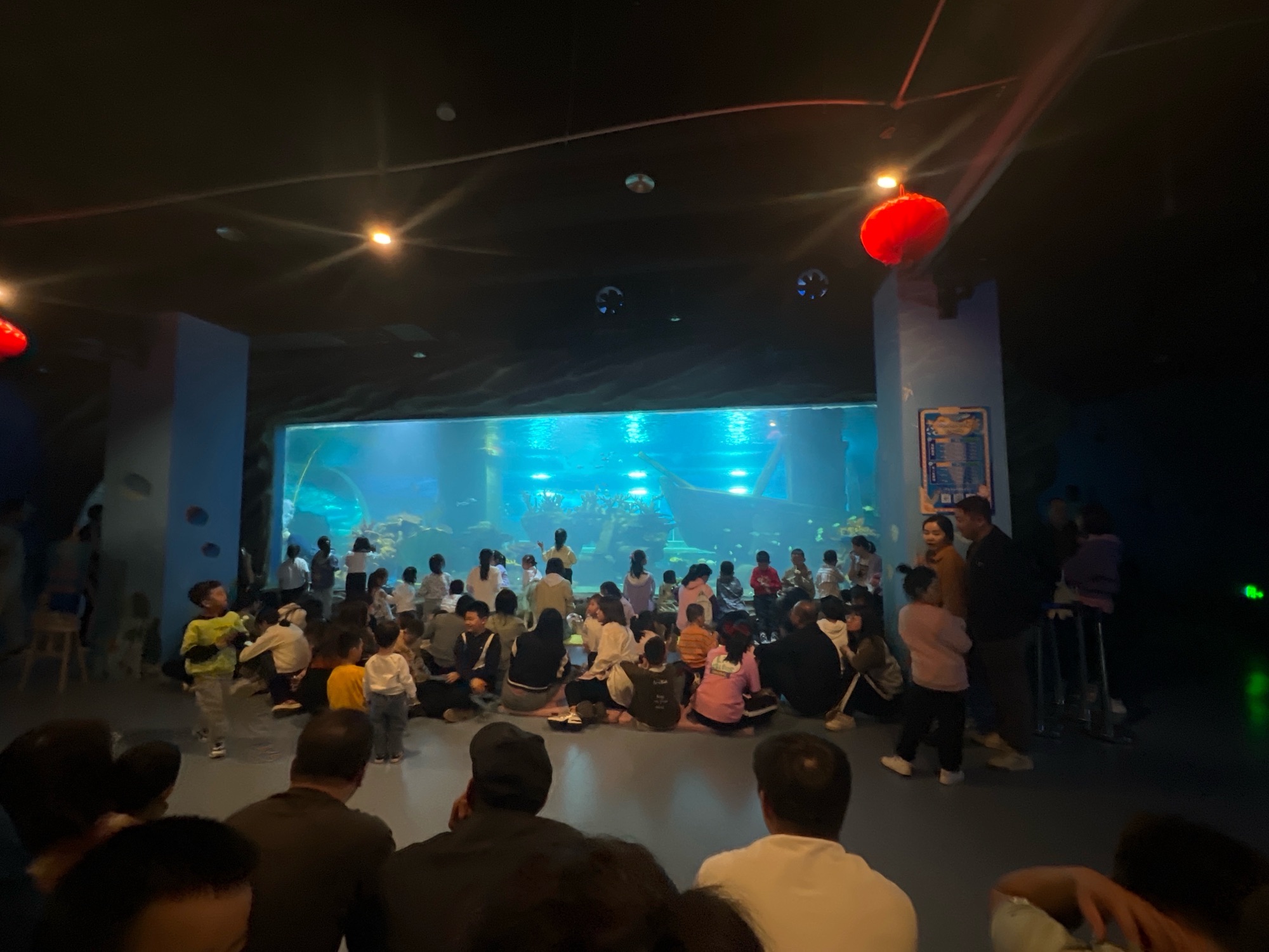 呼和浩特海洋馆旅行图片 2