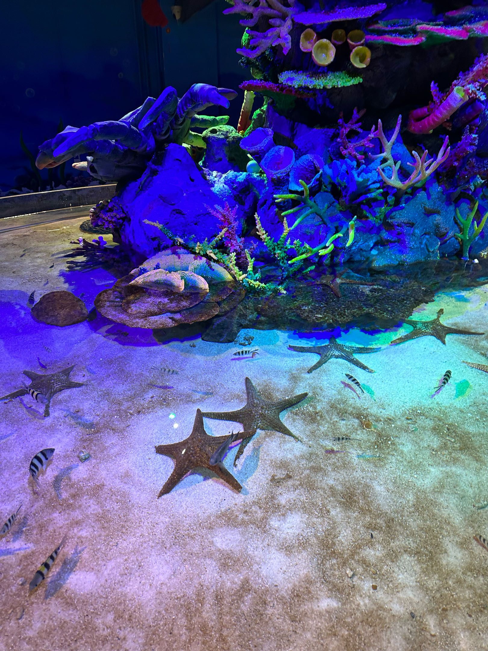 呼和浩特海洋馆旅行图片 2