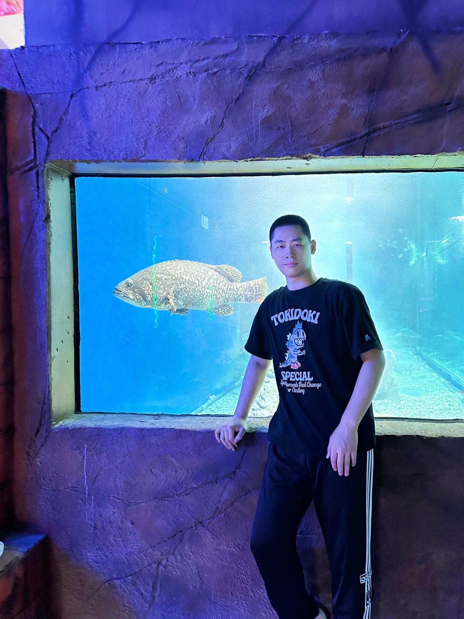 呼和浩特海洋馆旅行图片 3