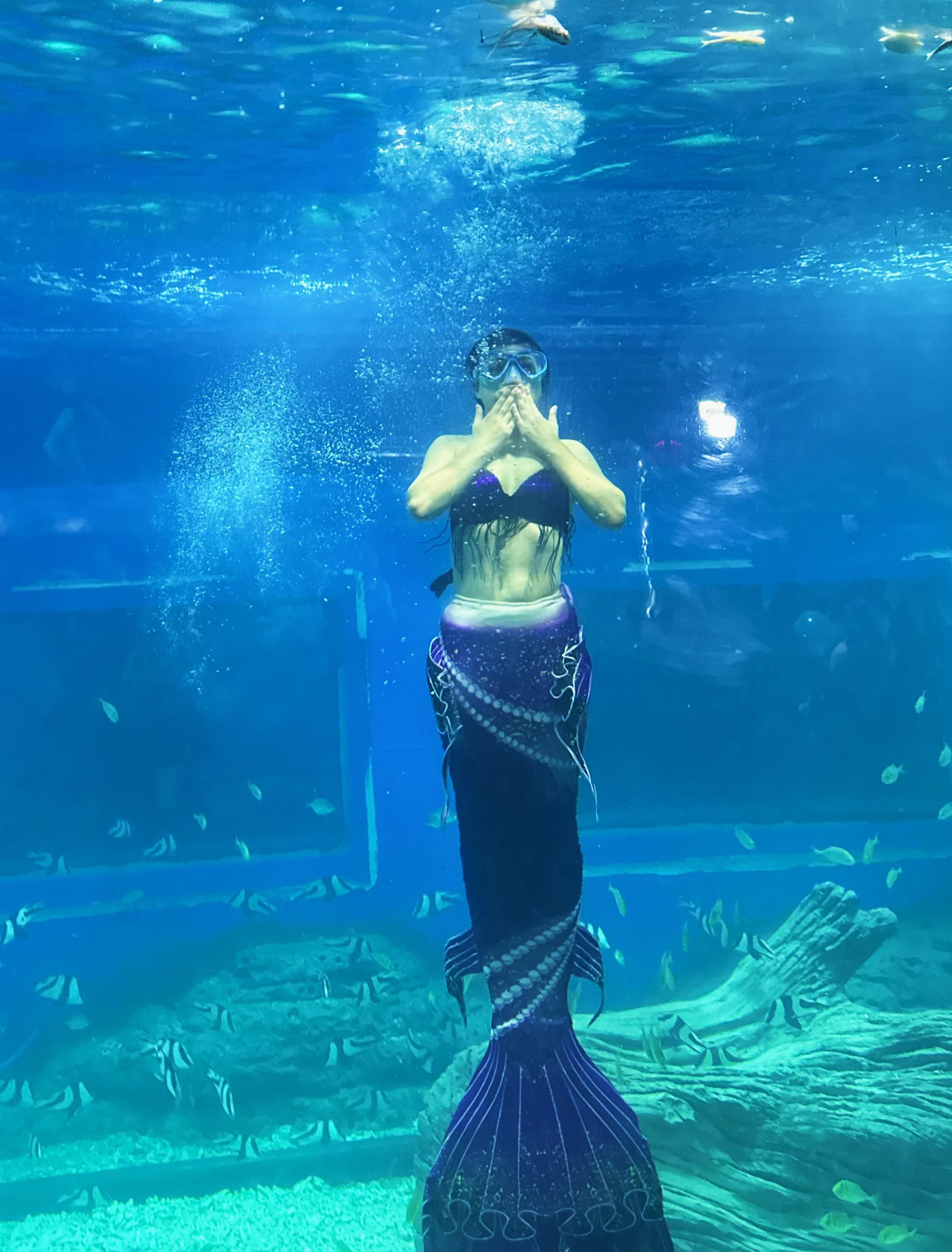 呼和浩特海洋馆旅行图片 1