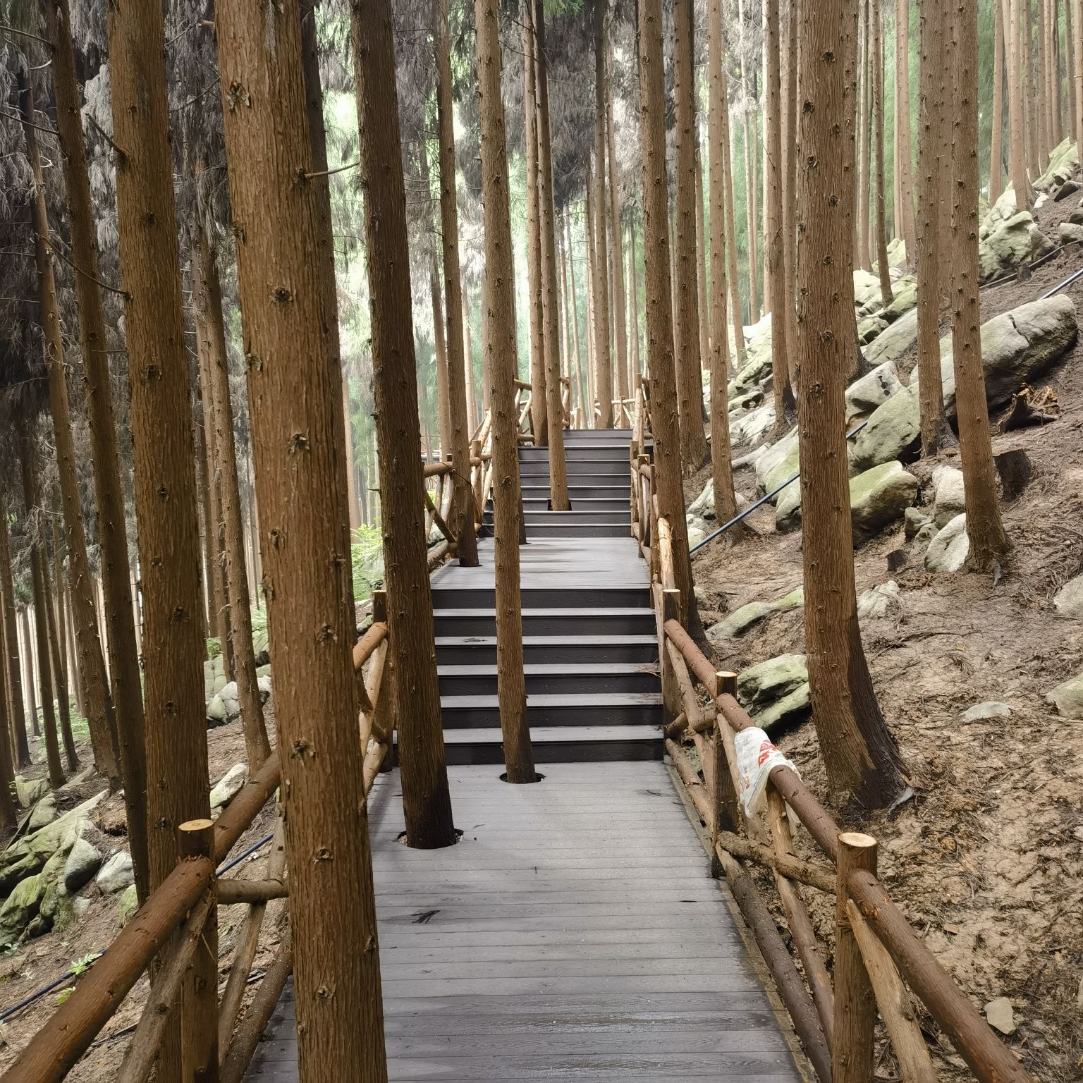 林海石源景区旅行图片 3