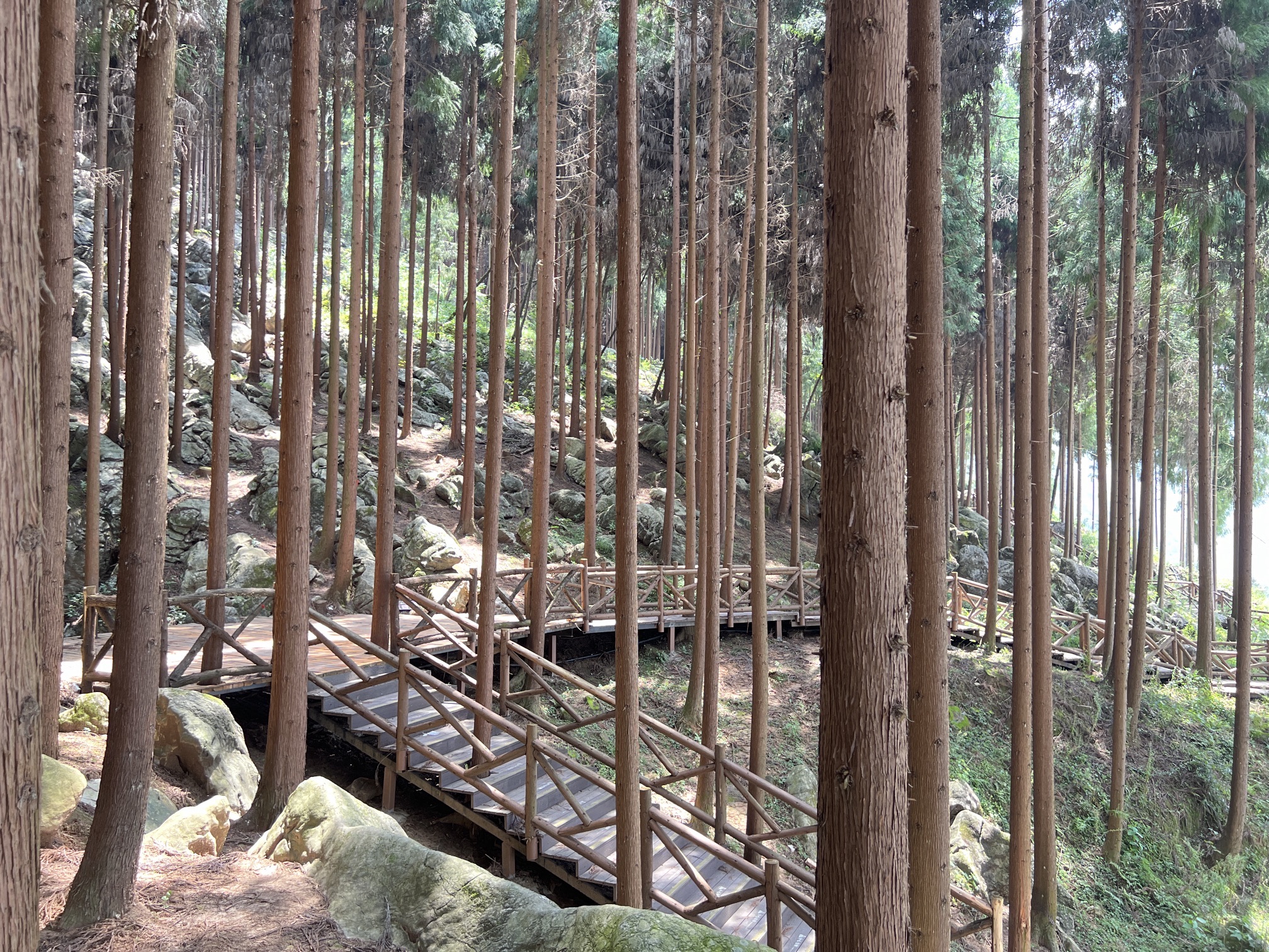 林海石源景区旅行图片 3