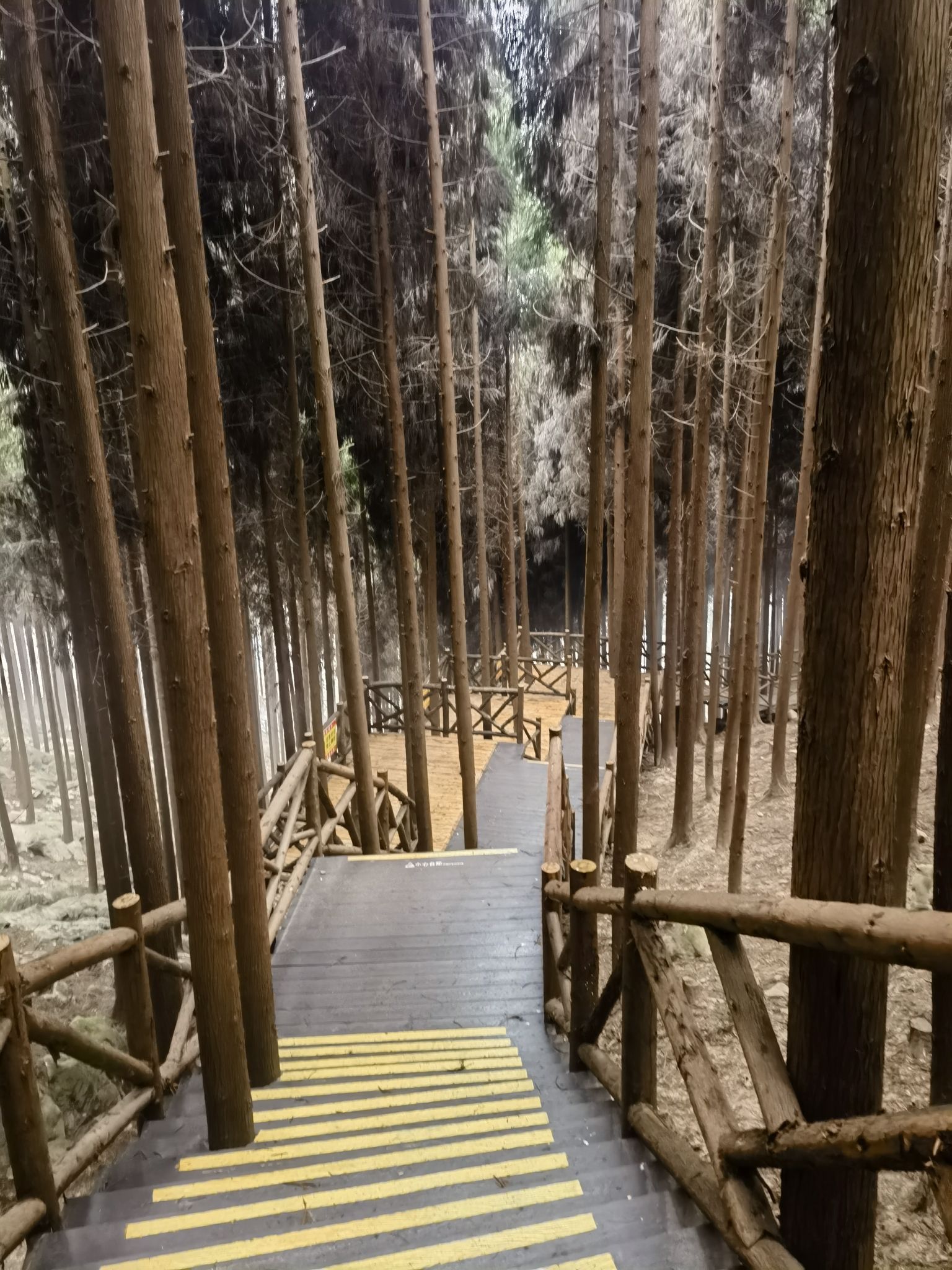 林海石源景区旅行图片 2