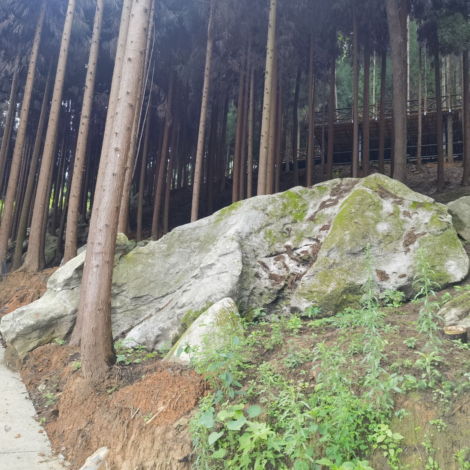 林海石源景区旅行图片 3
