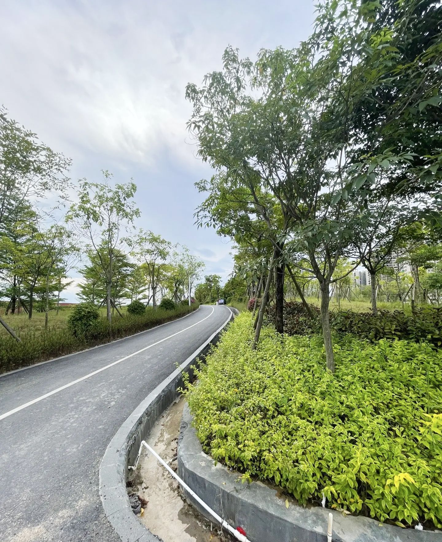 书香公园旅行图片 2