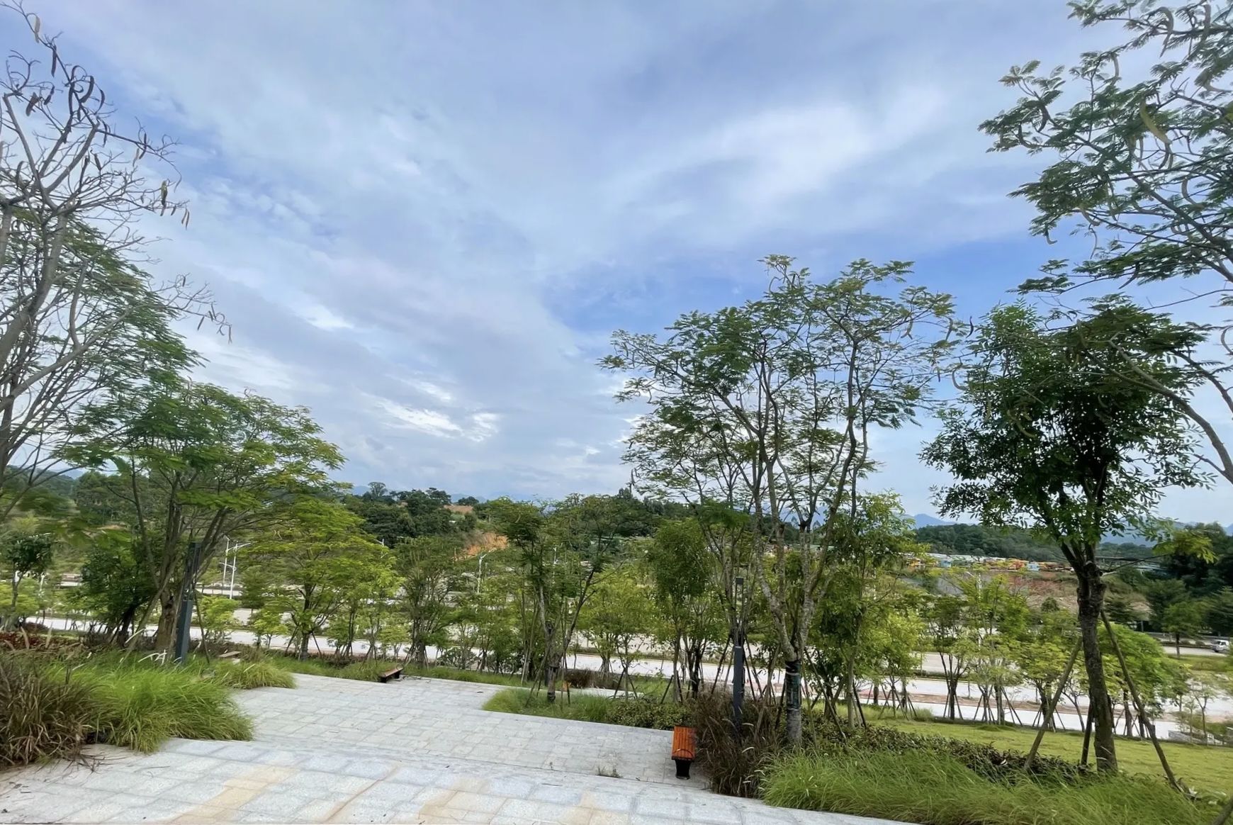 书香公园旅行图片 1
