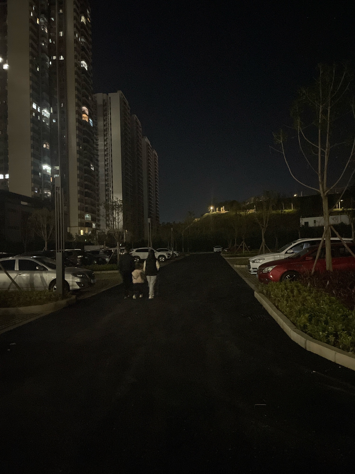 书香公园旅行图片 1