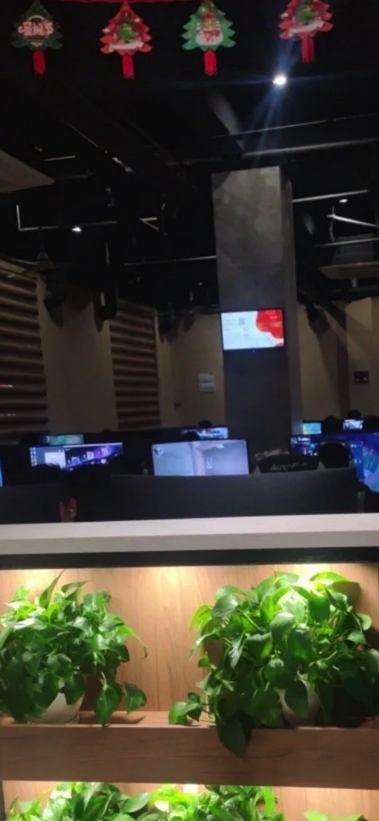 共享网络玩家花语城店