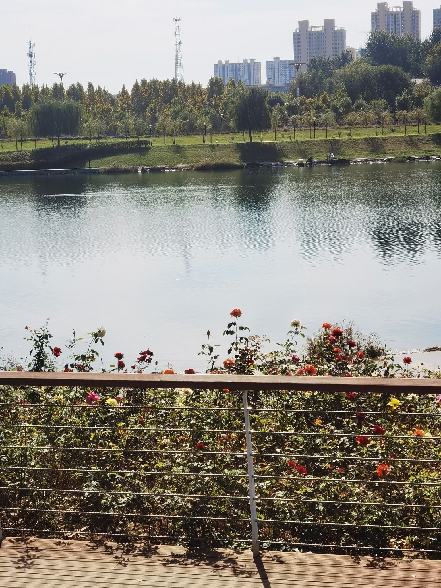 赞皇槐河生态长廊旅行图片 2