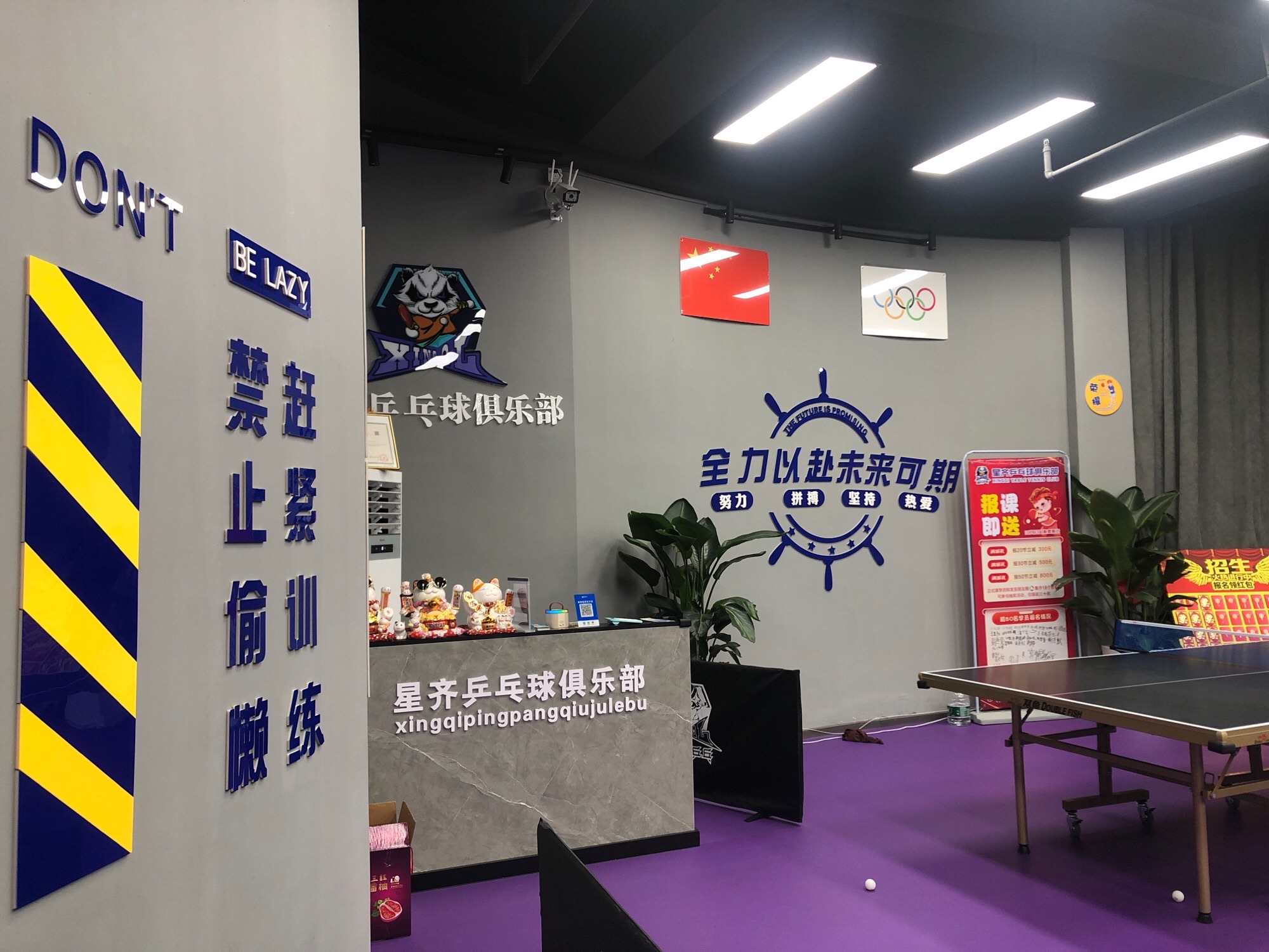 场地封面-星齐乒乓球俱乐部