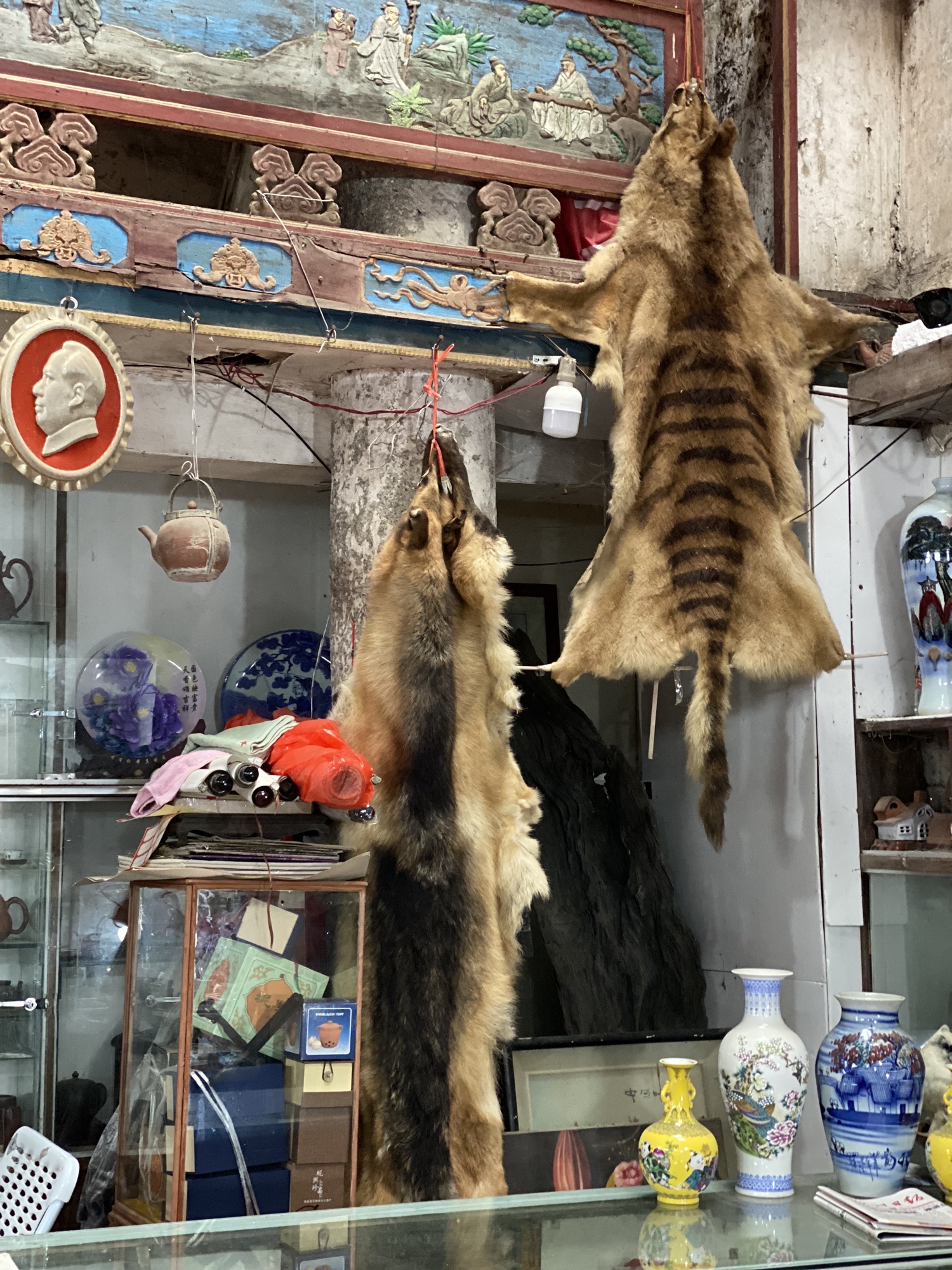 天后宫旅行图片 3