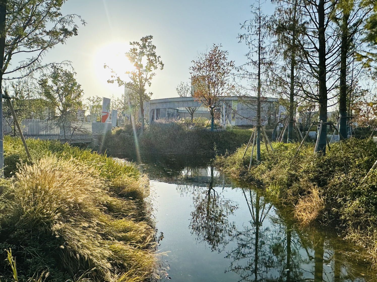 李子园公园旅行图片 3