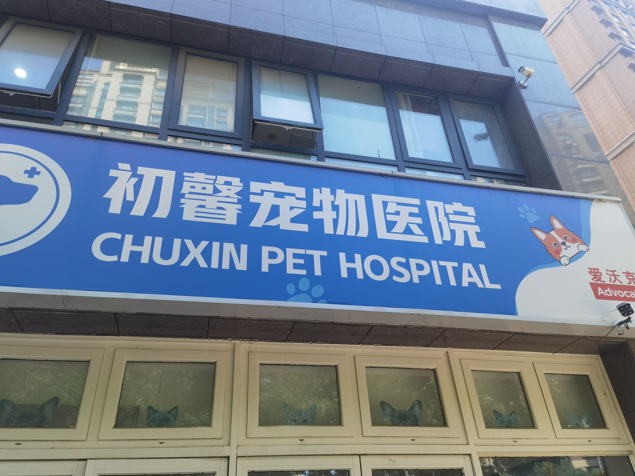 山东济南市历城区附近的宠物医院有哪些？