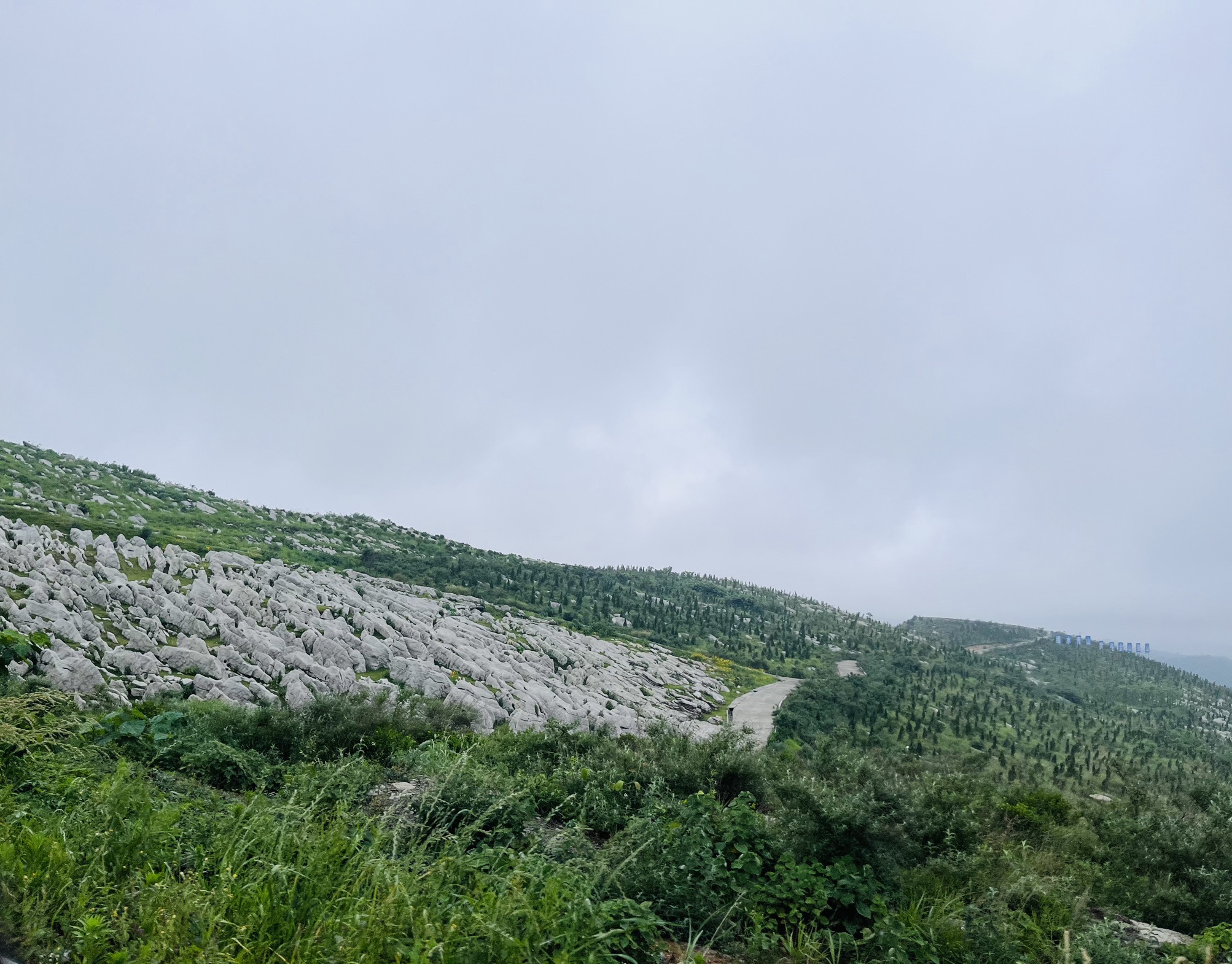 万马奔腾旅行图片 2