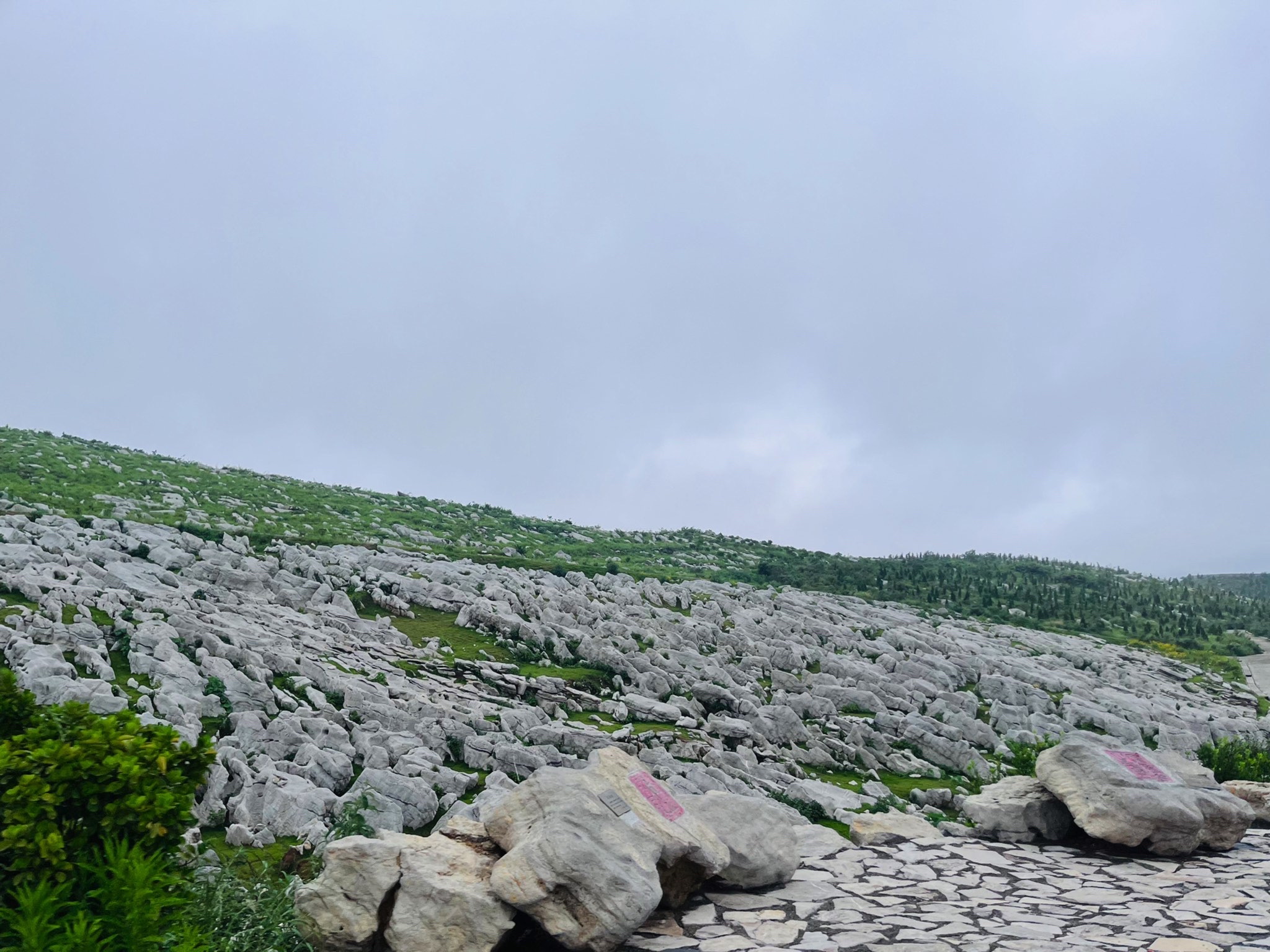 万马奔腾旅行图片 1