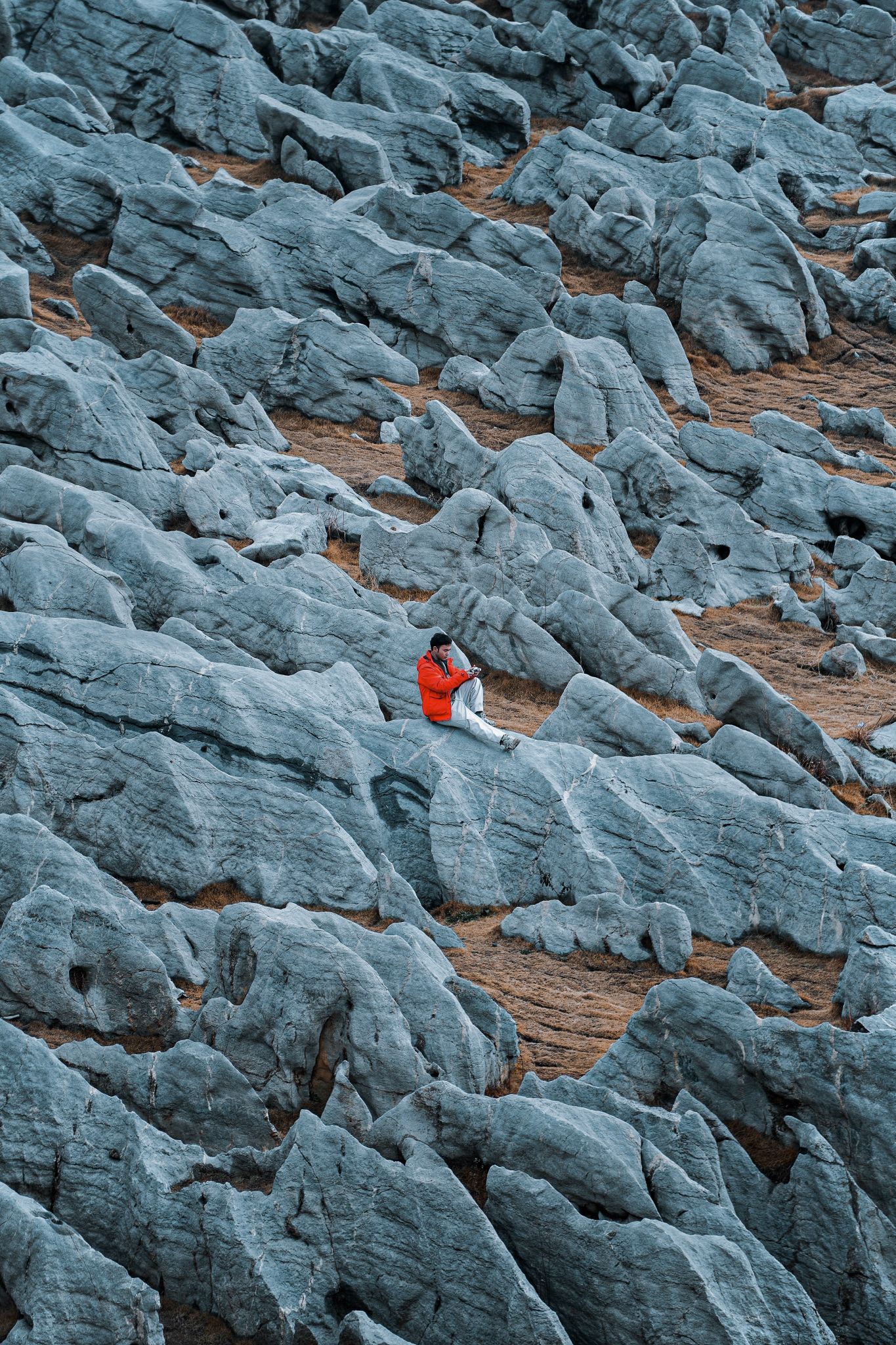 万马奔腾旅行图片 1