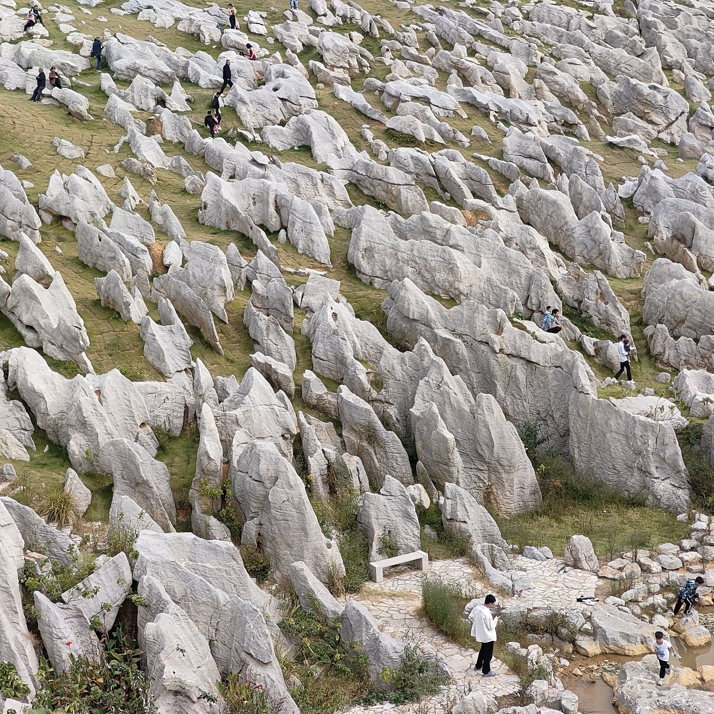 万马奔腾旅行图片 1