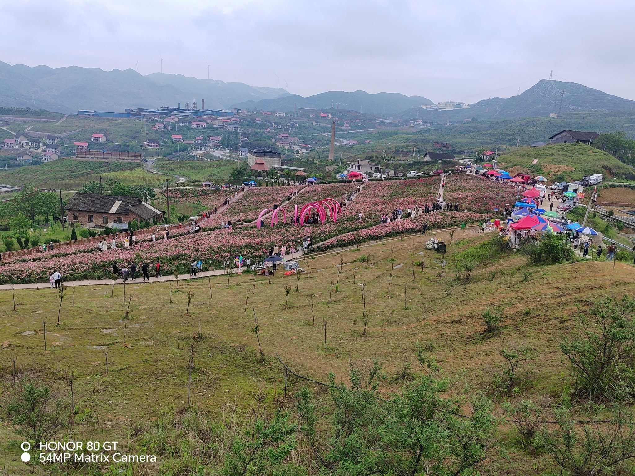 玫瑰爱琴海旅行图片 1