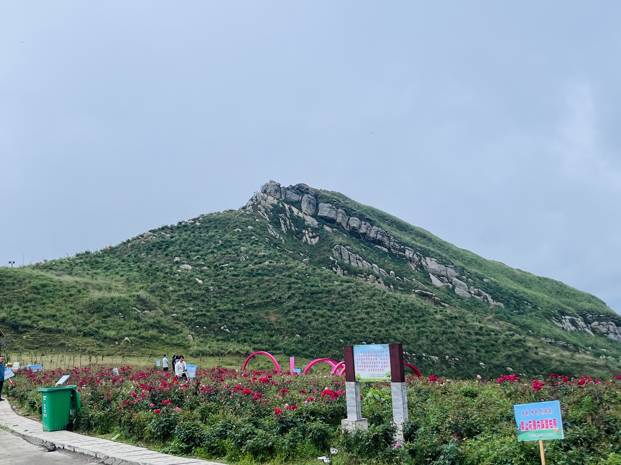 玫瑰爱琴海旅行图片 3