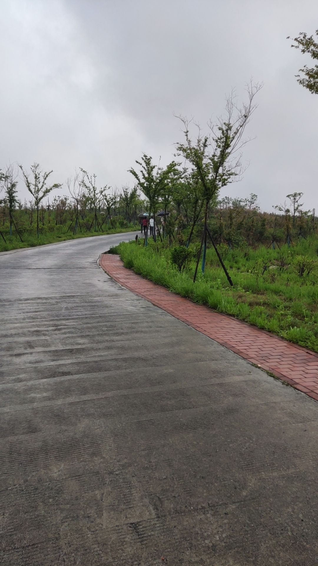 玫瑰爱琴海旅行图片 3